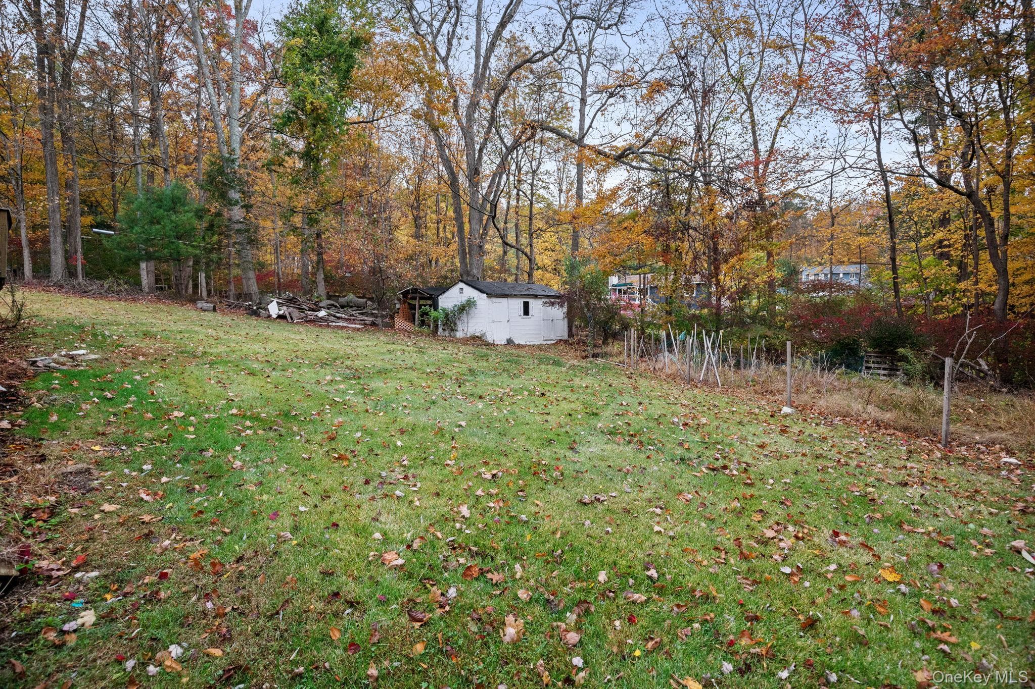 Yard