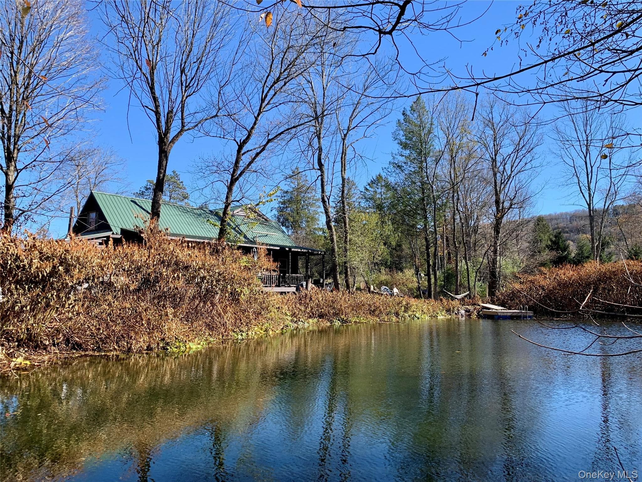 Pond