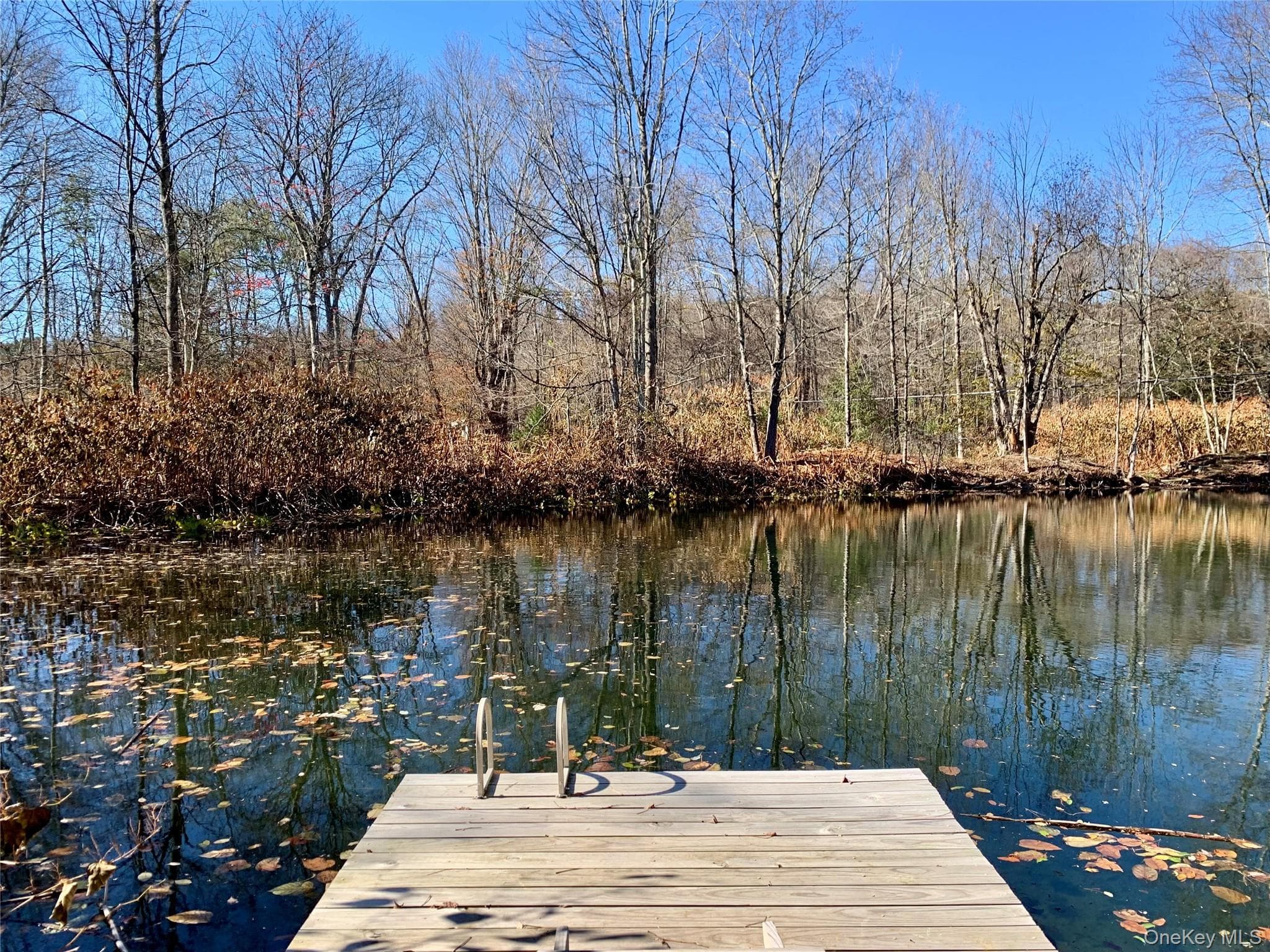 Dock