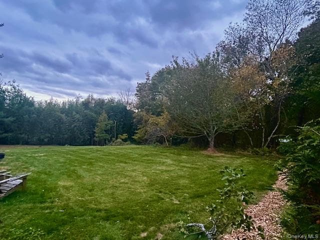 Yard