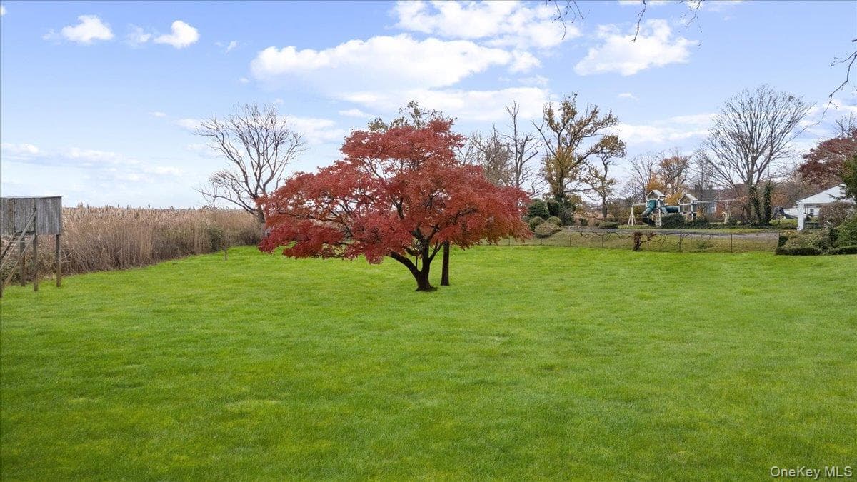 Yard