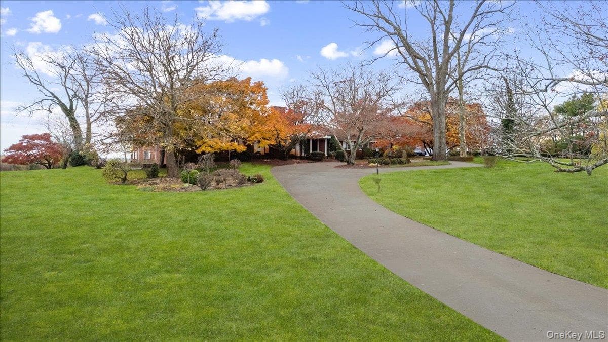 Yard