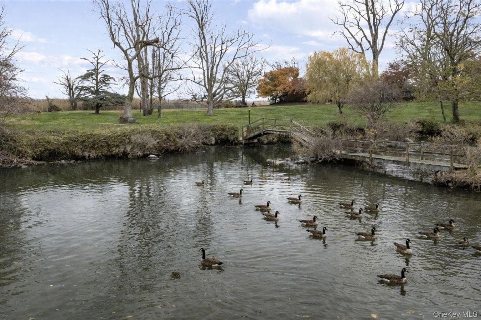 Pond