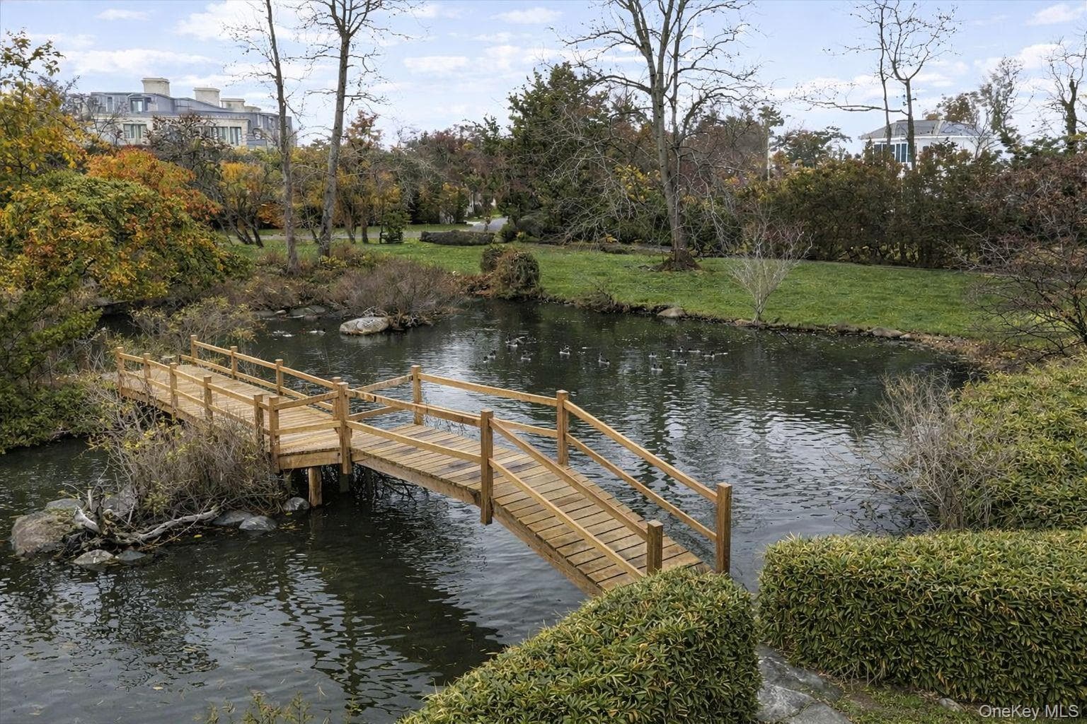 Pond