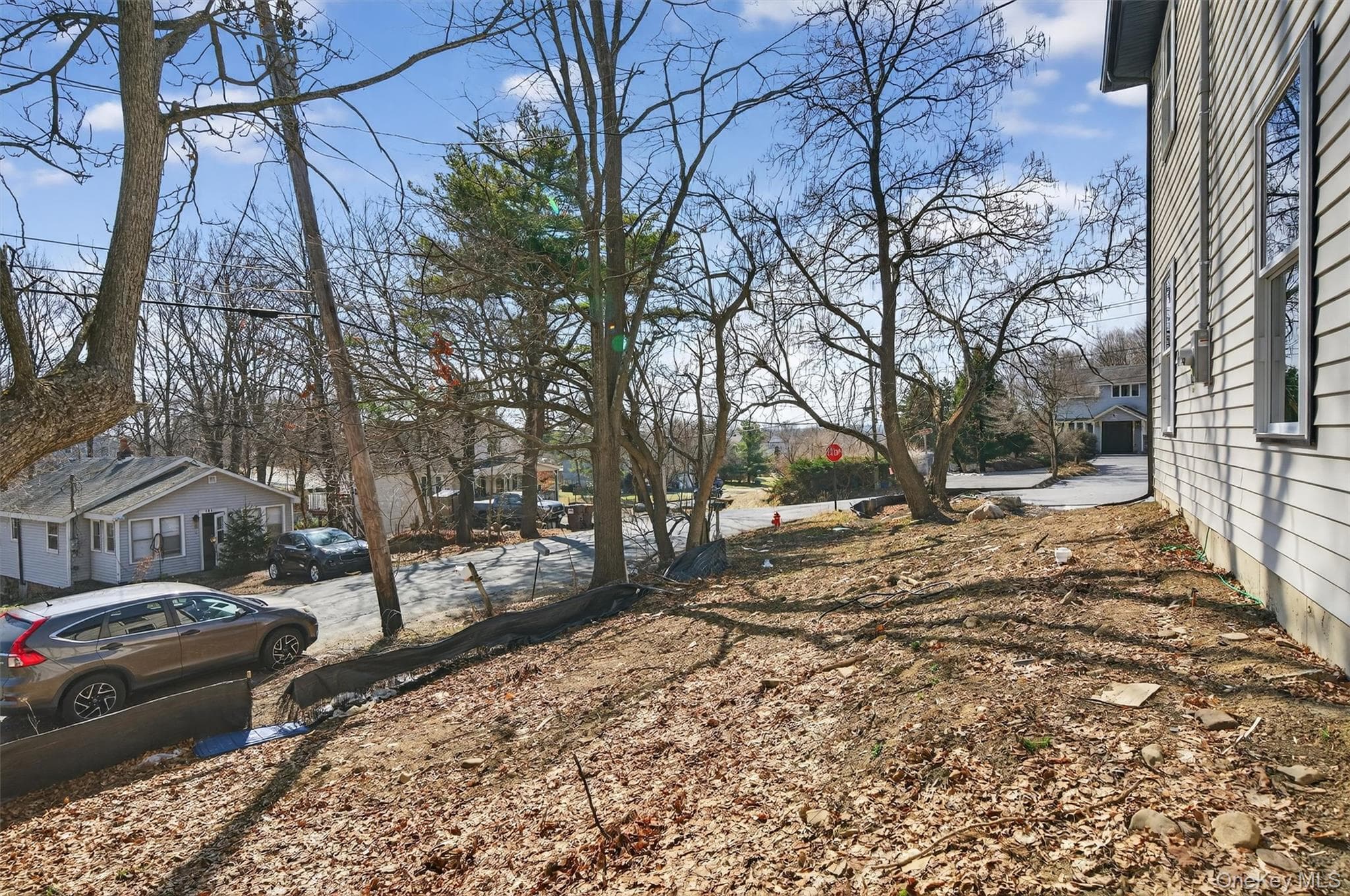 Yard