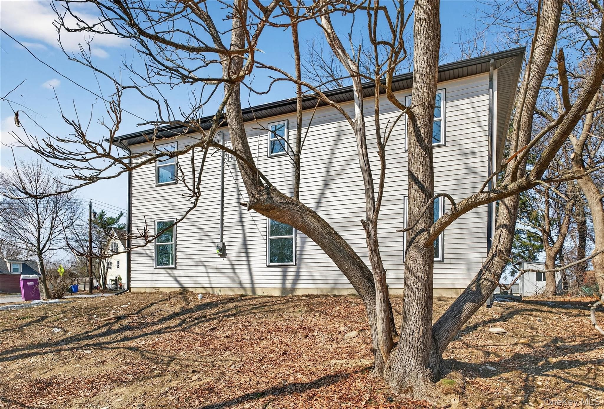 Back of Structure