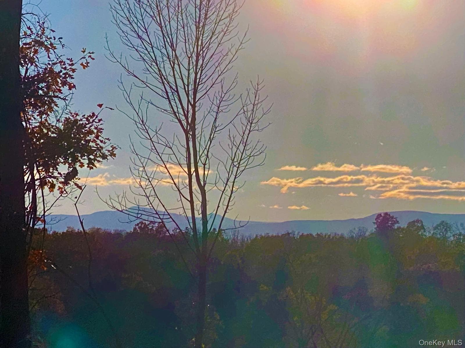 View