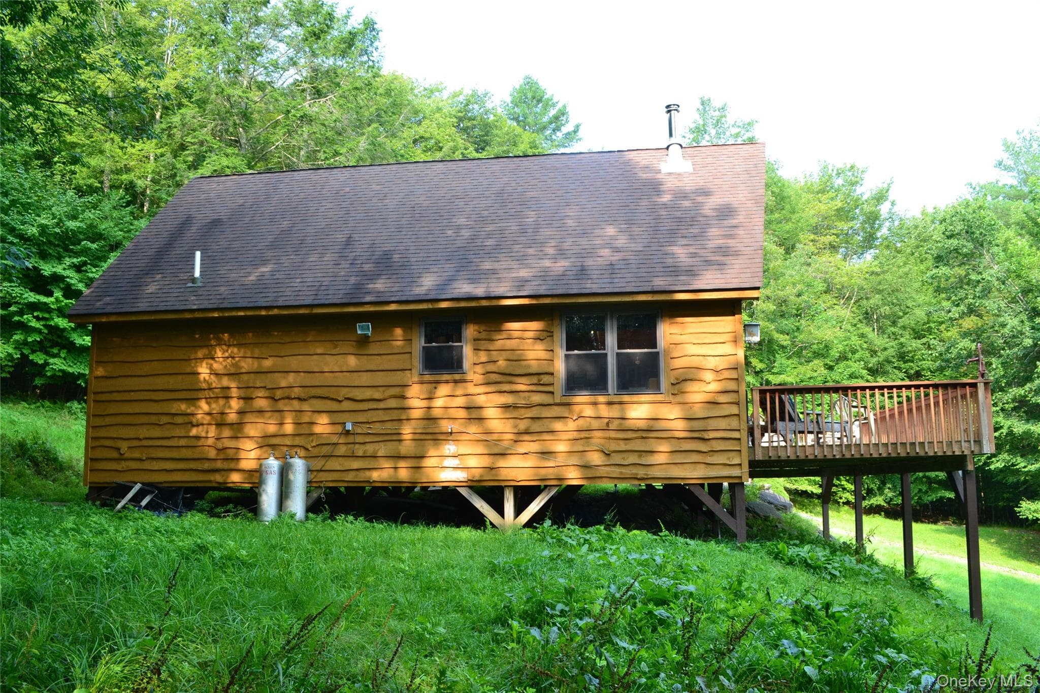 Back of Structure