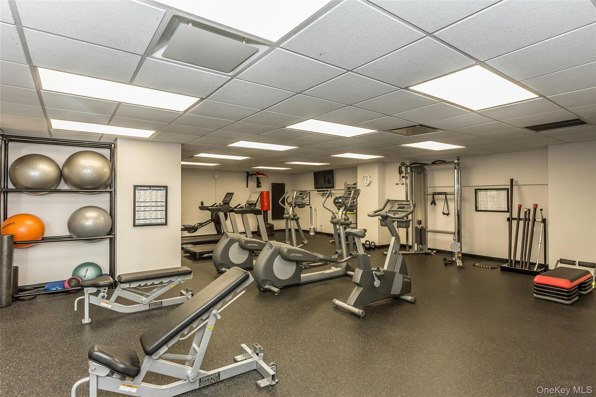 Gym