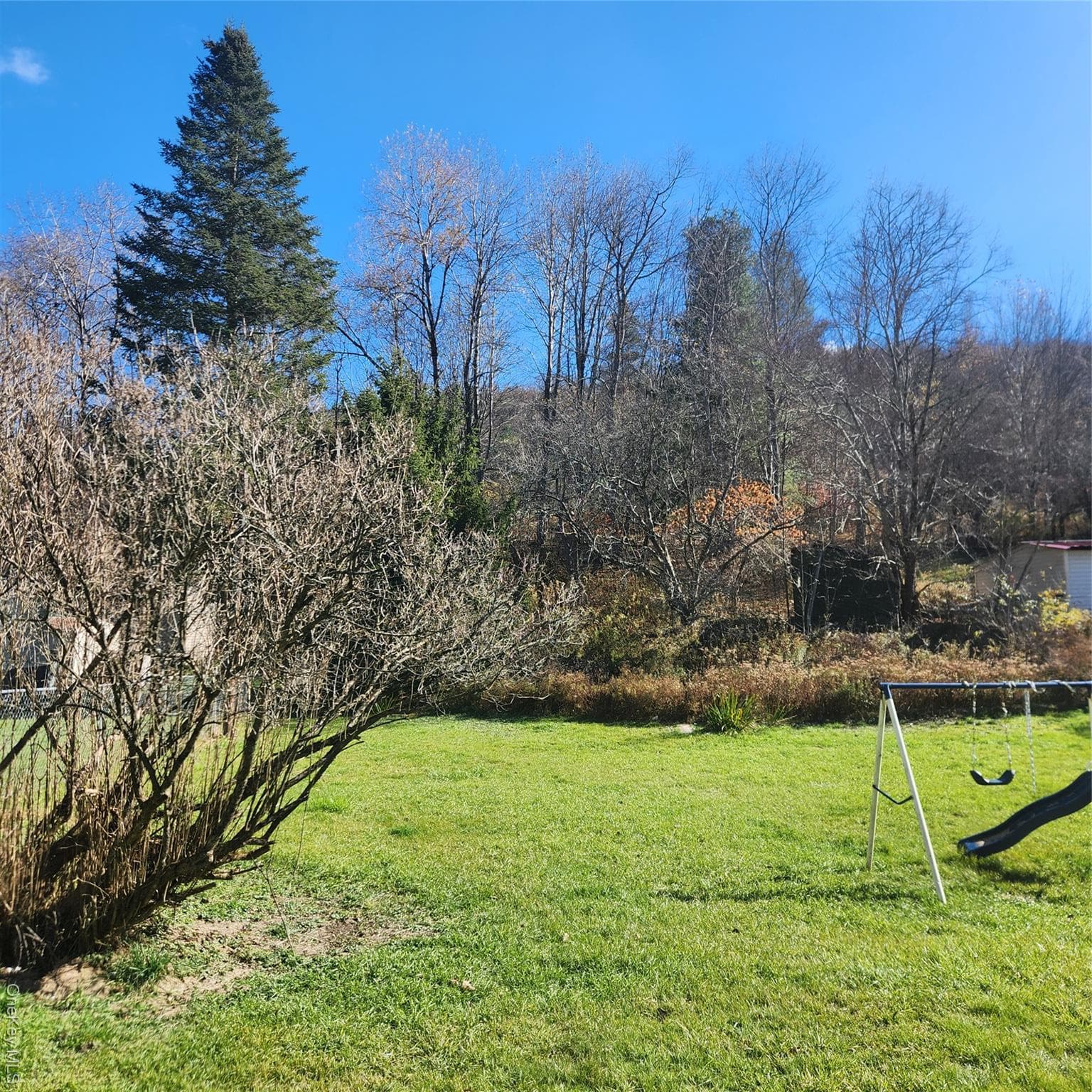 Yard