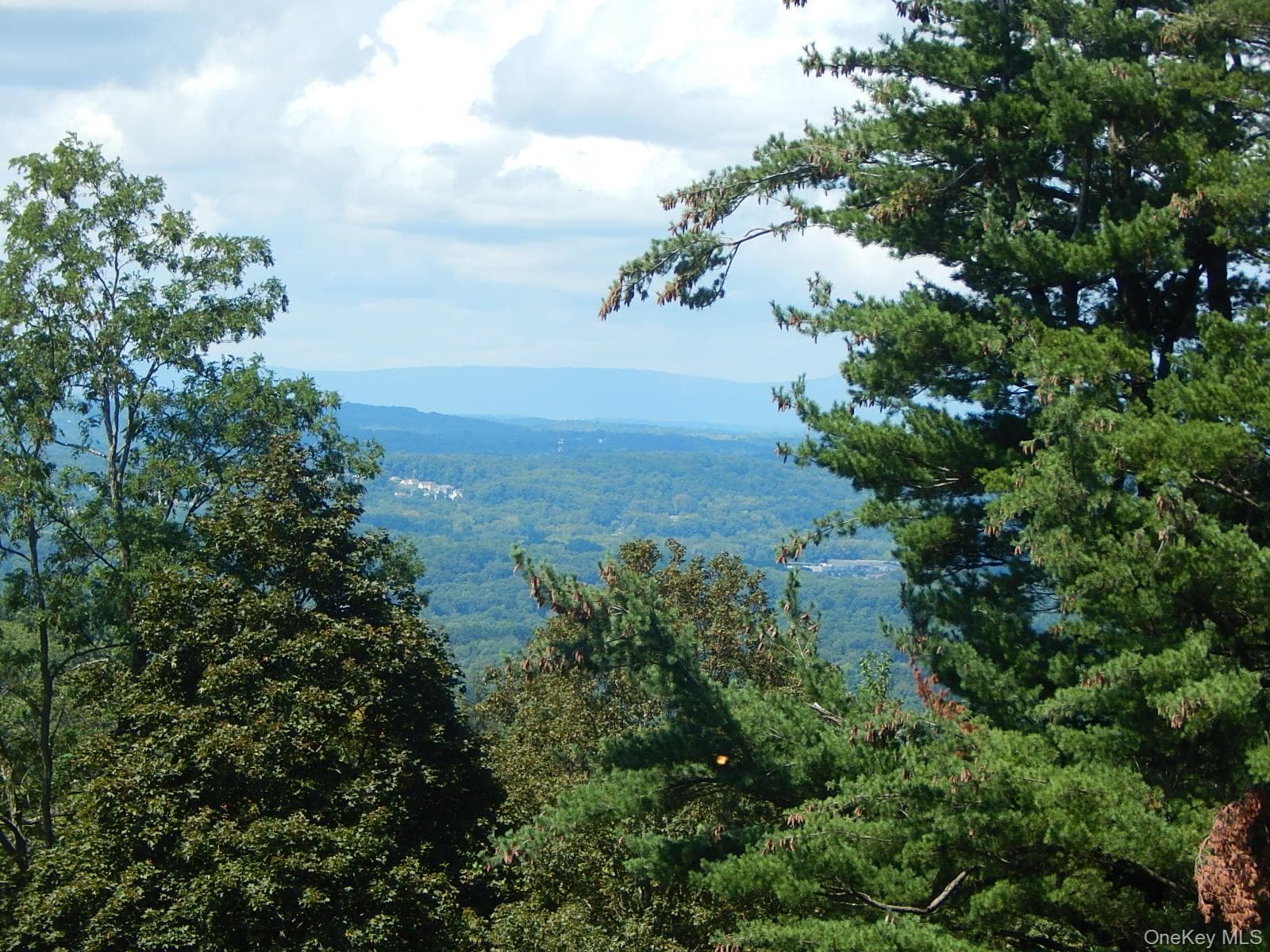 View