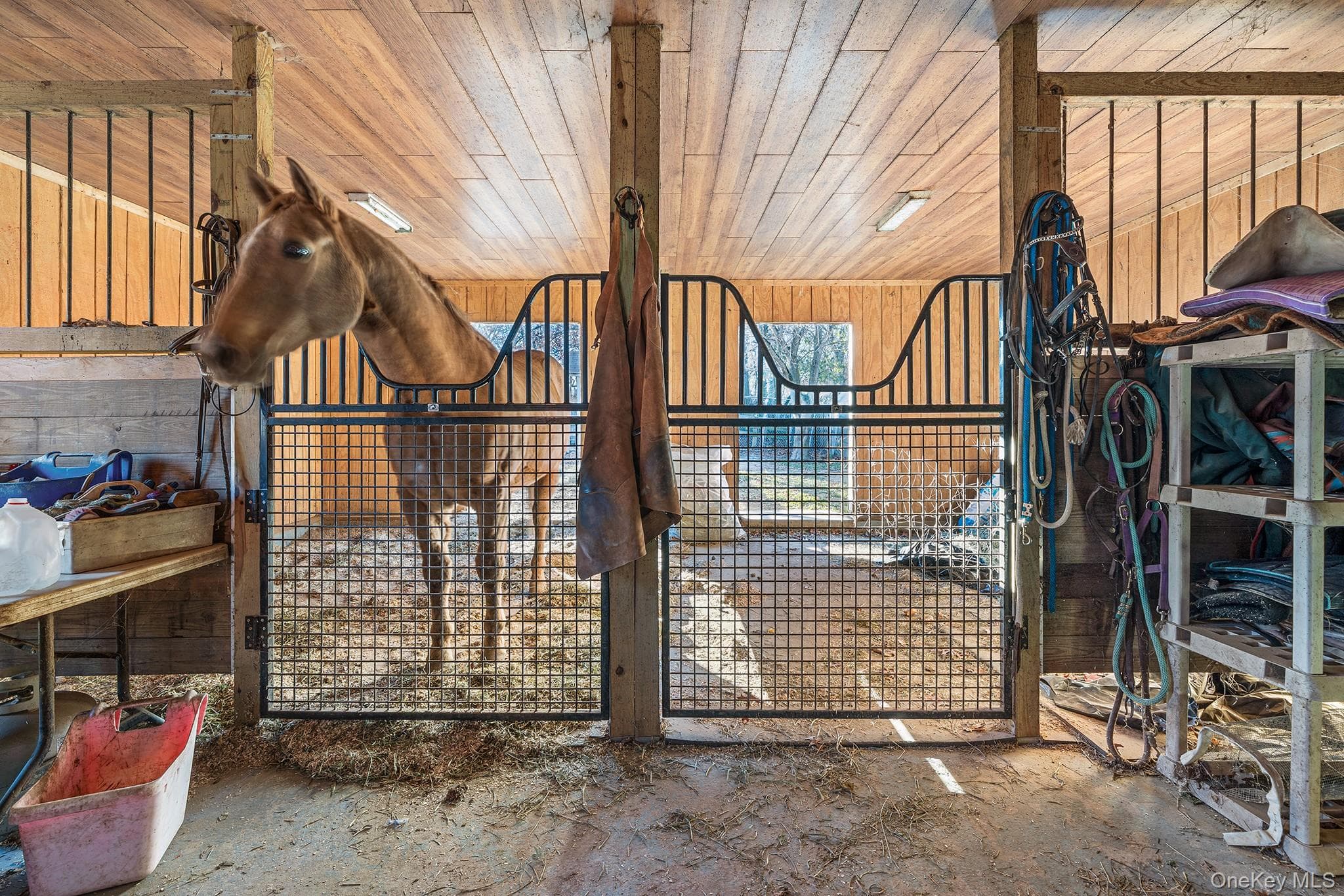 Stable