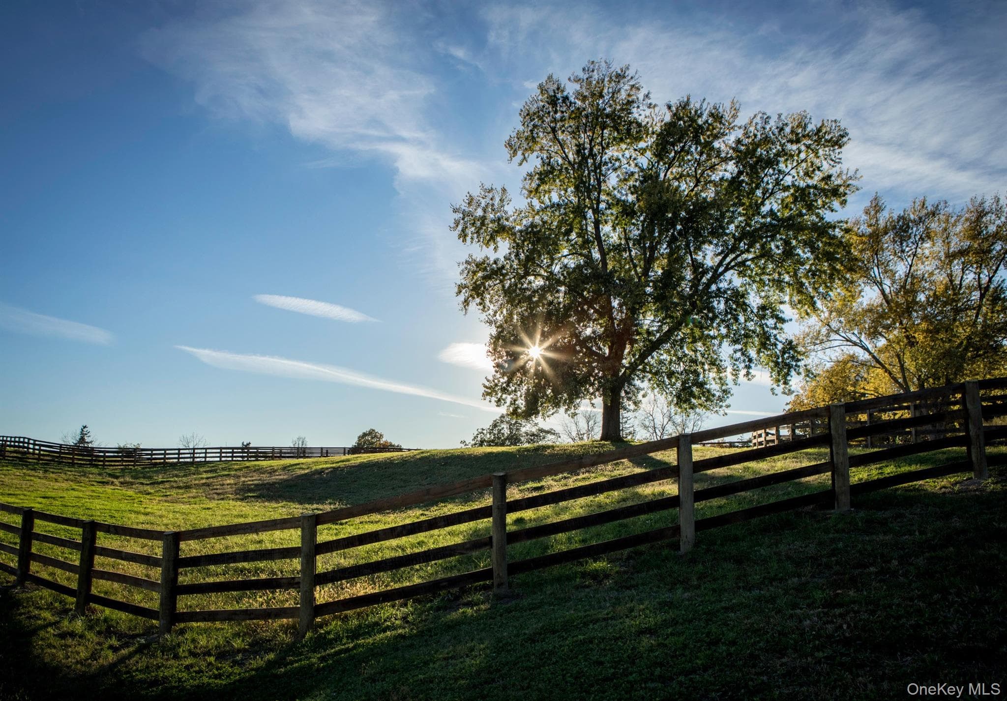 Fence