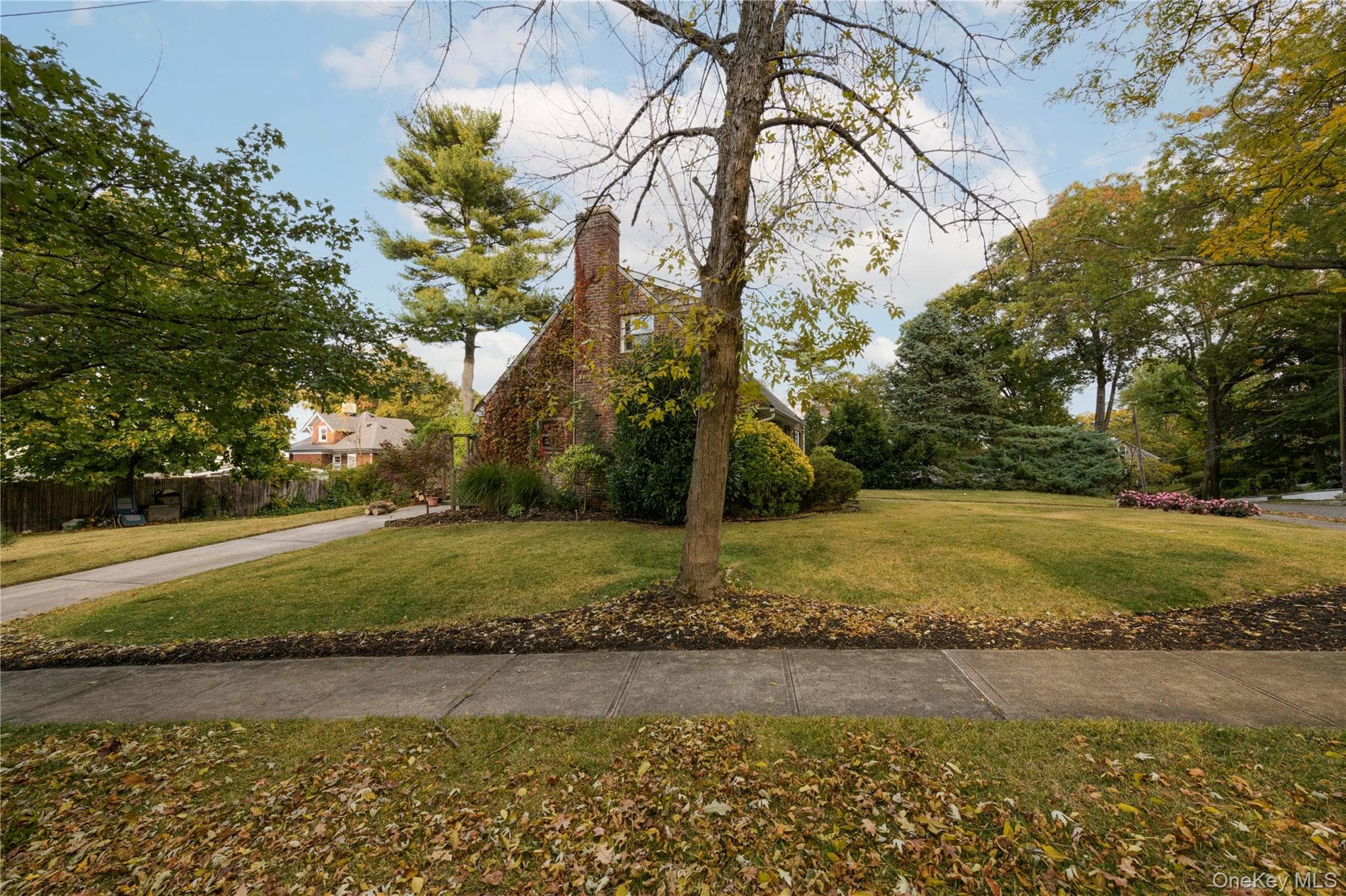Yard