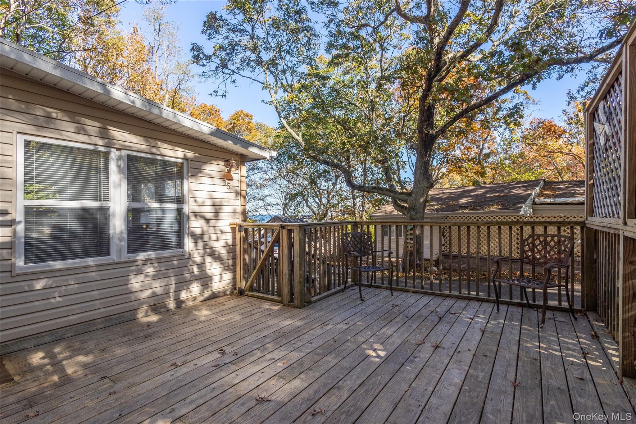 Deck