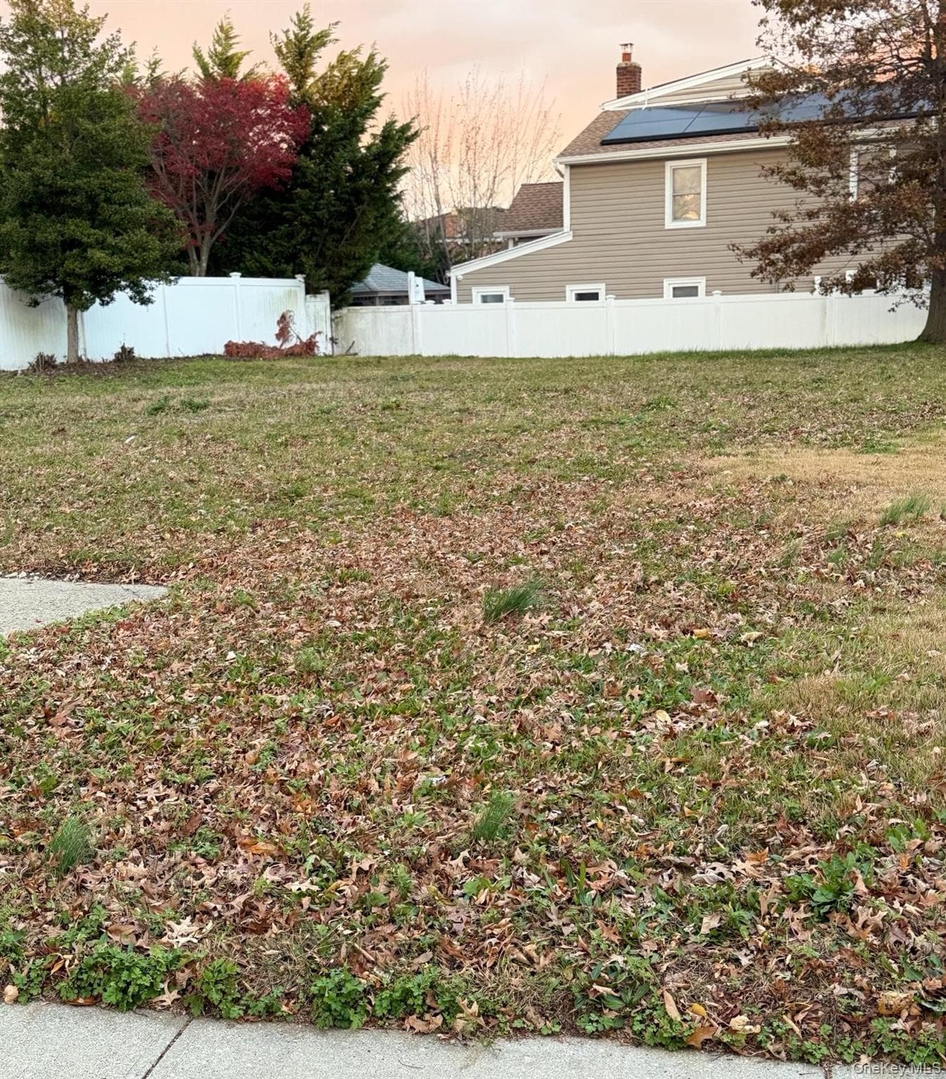 Yard