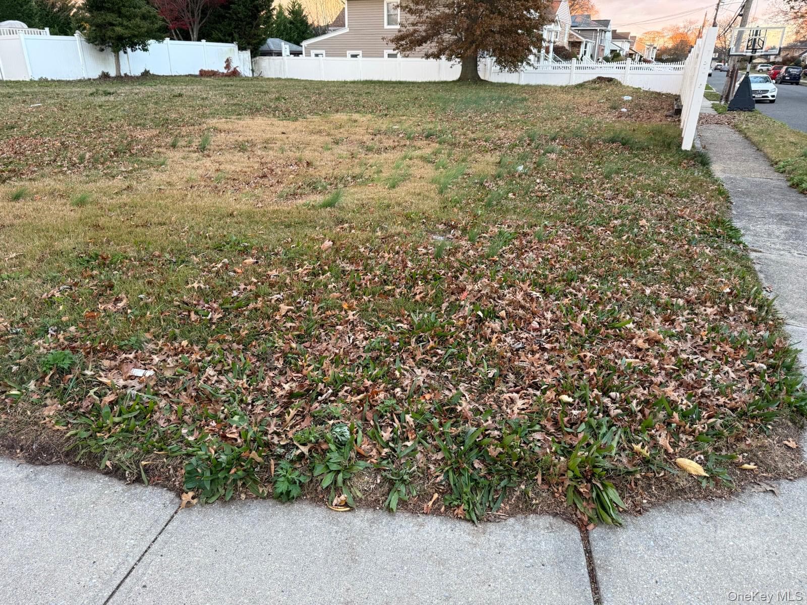 Yard