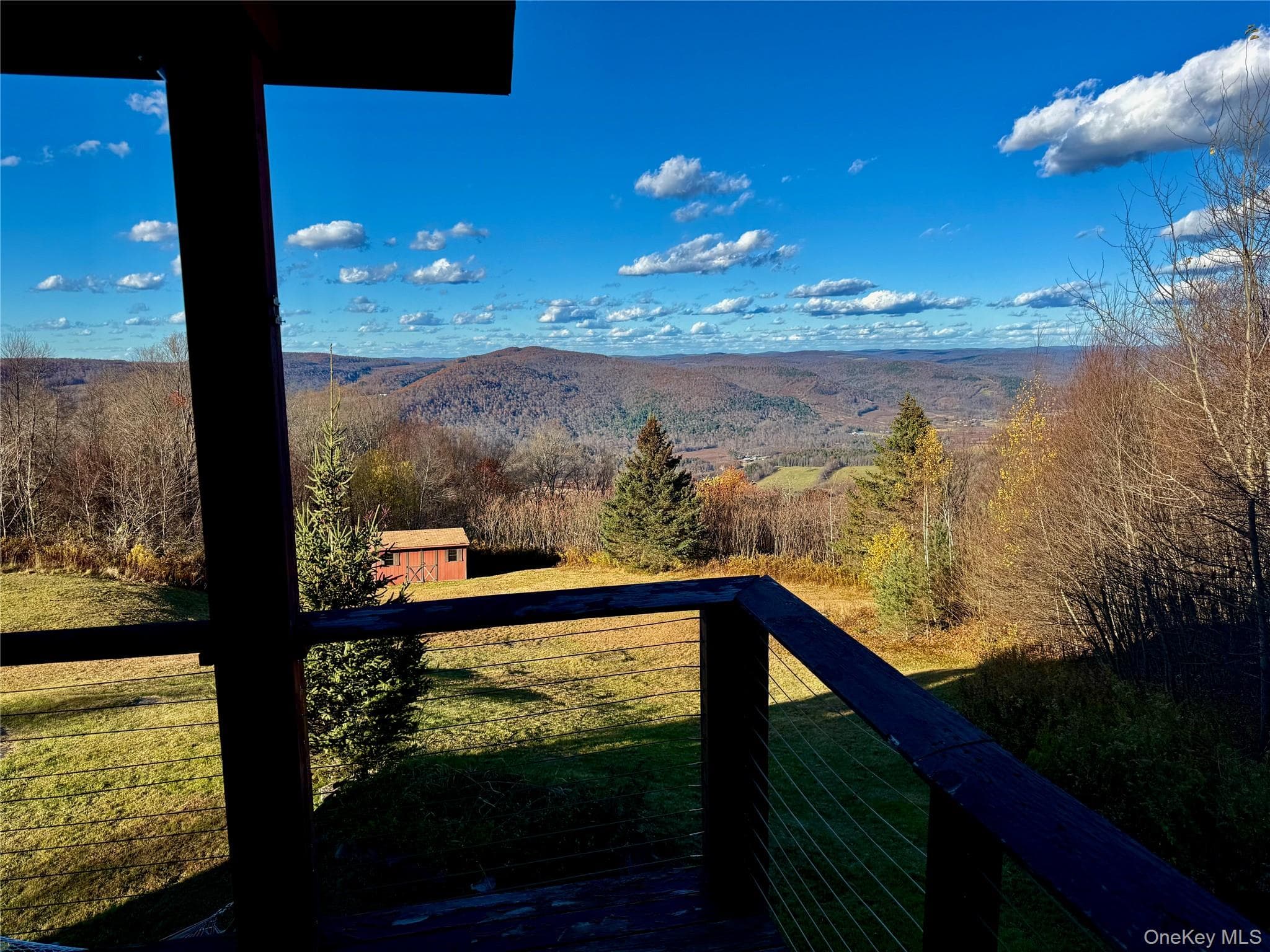 View