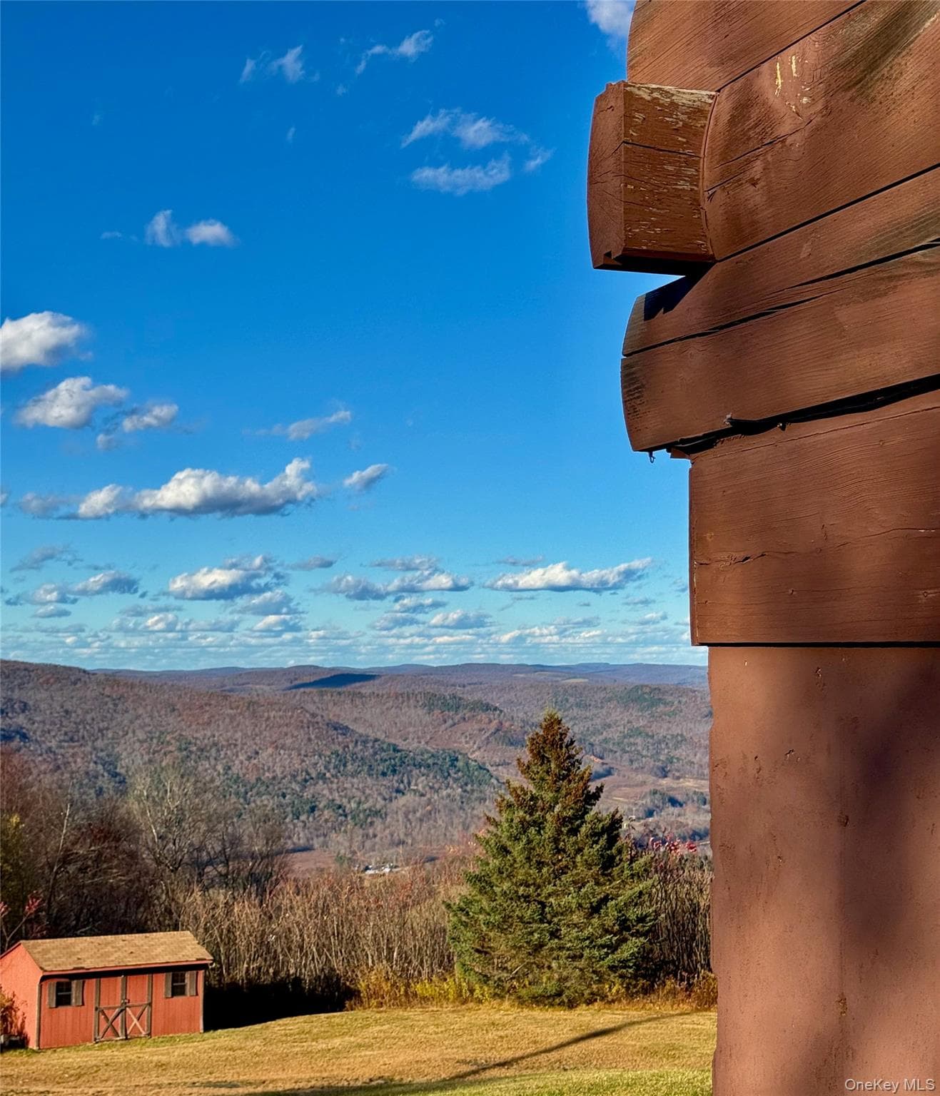 View