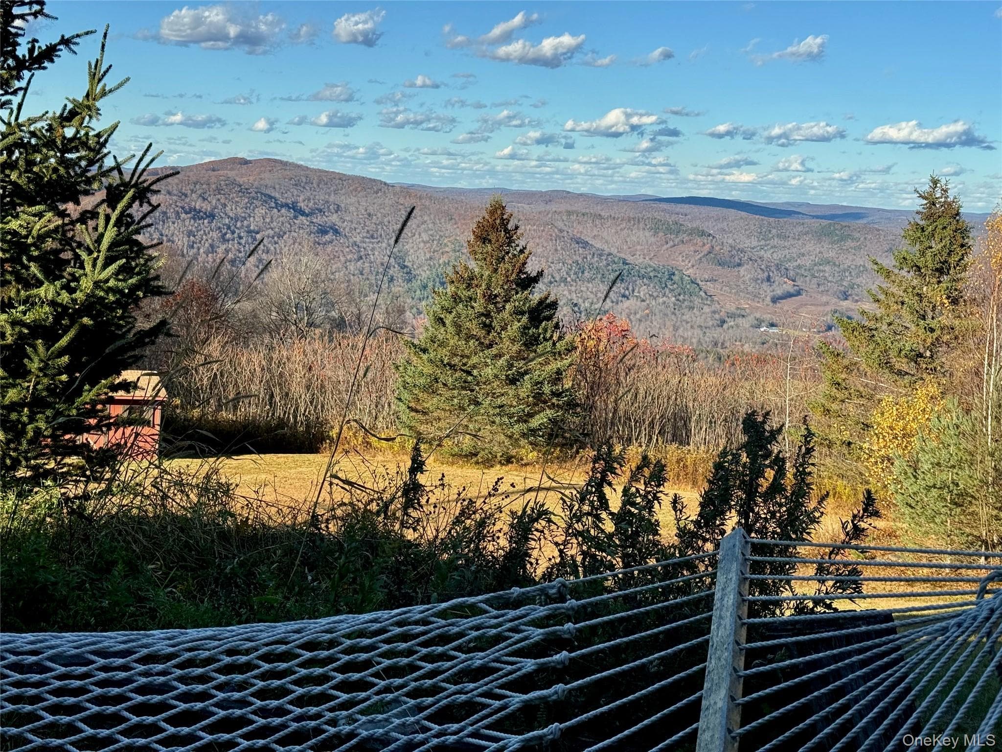 View