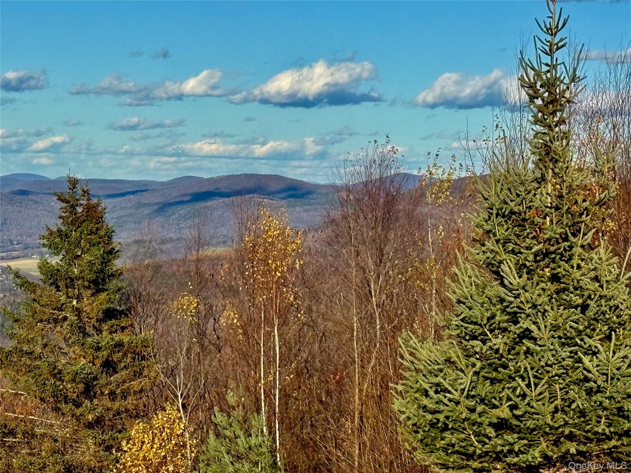 View