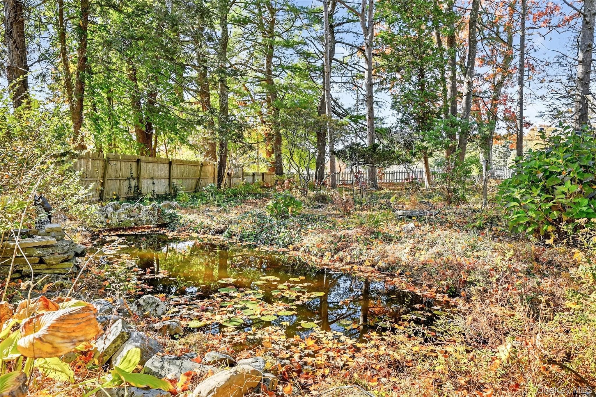 Yard