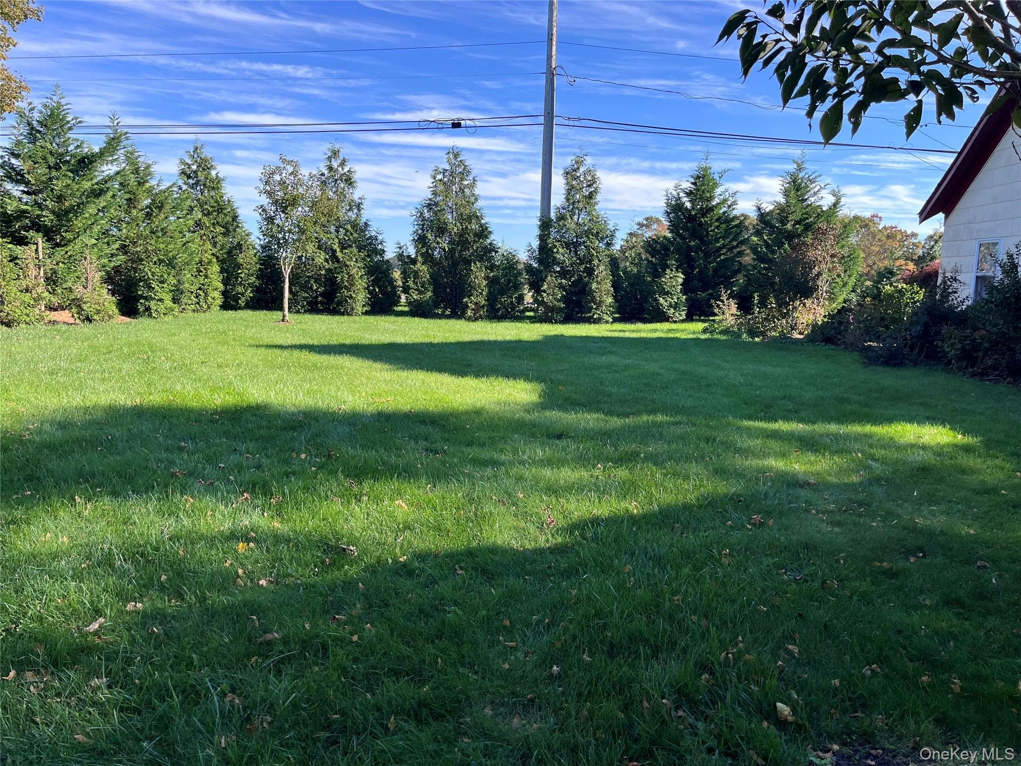Yard