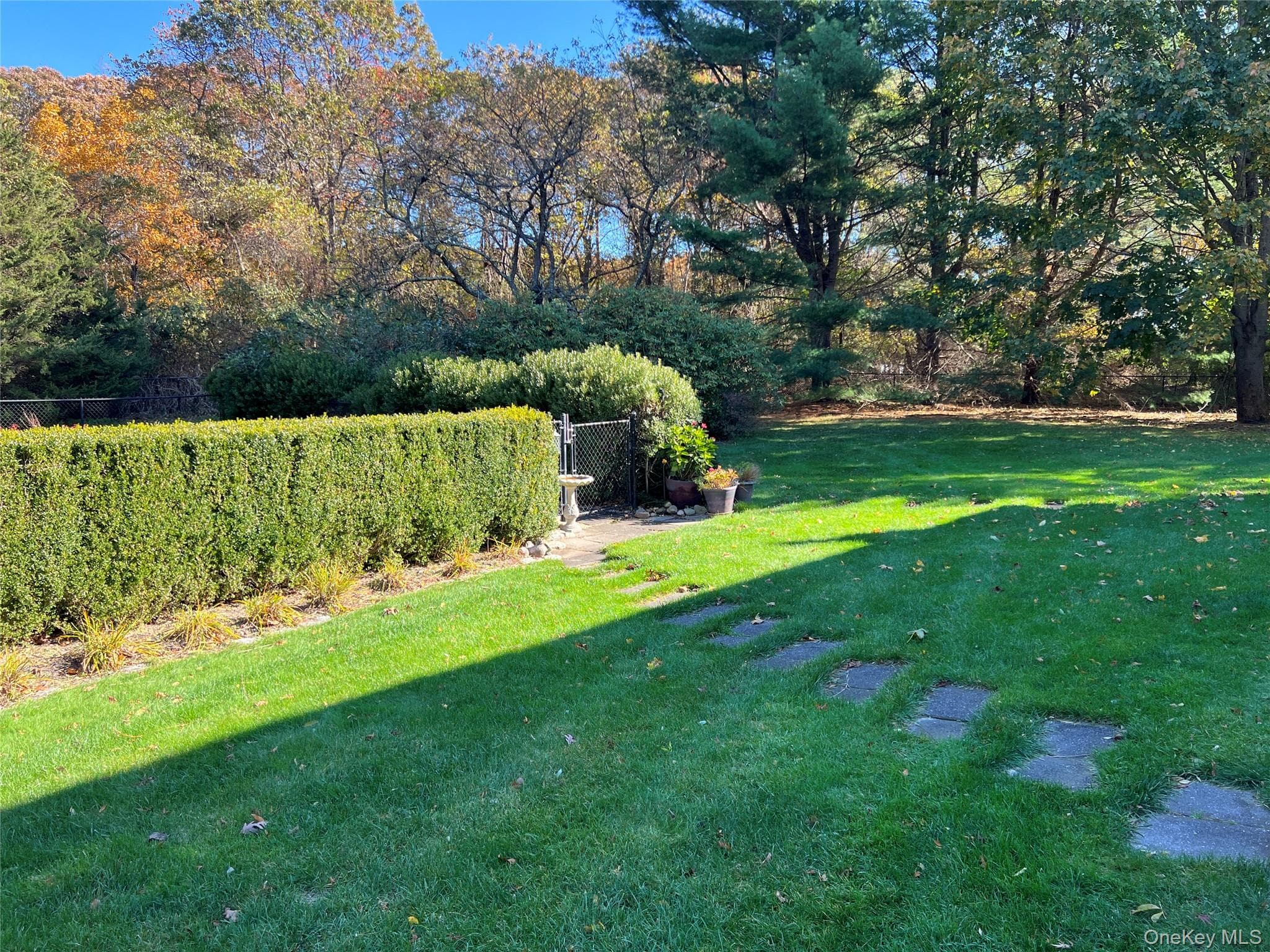 Yard