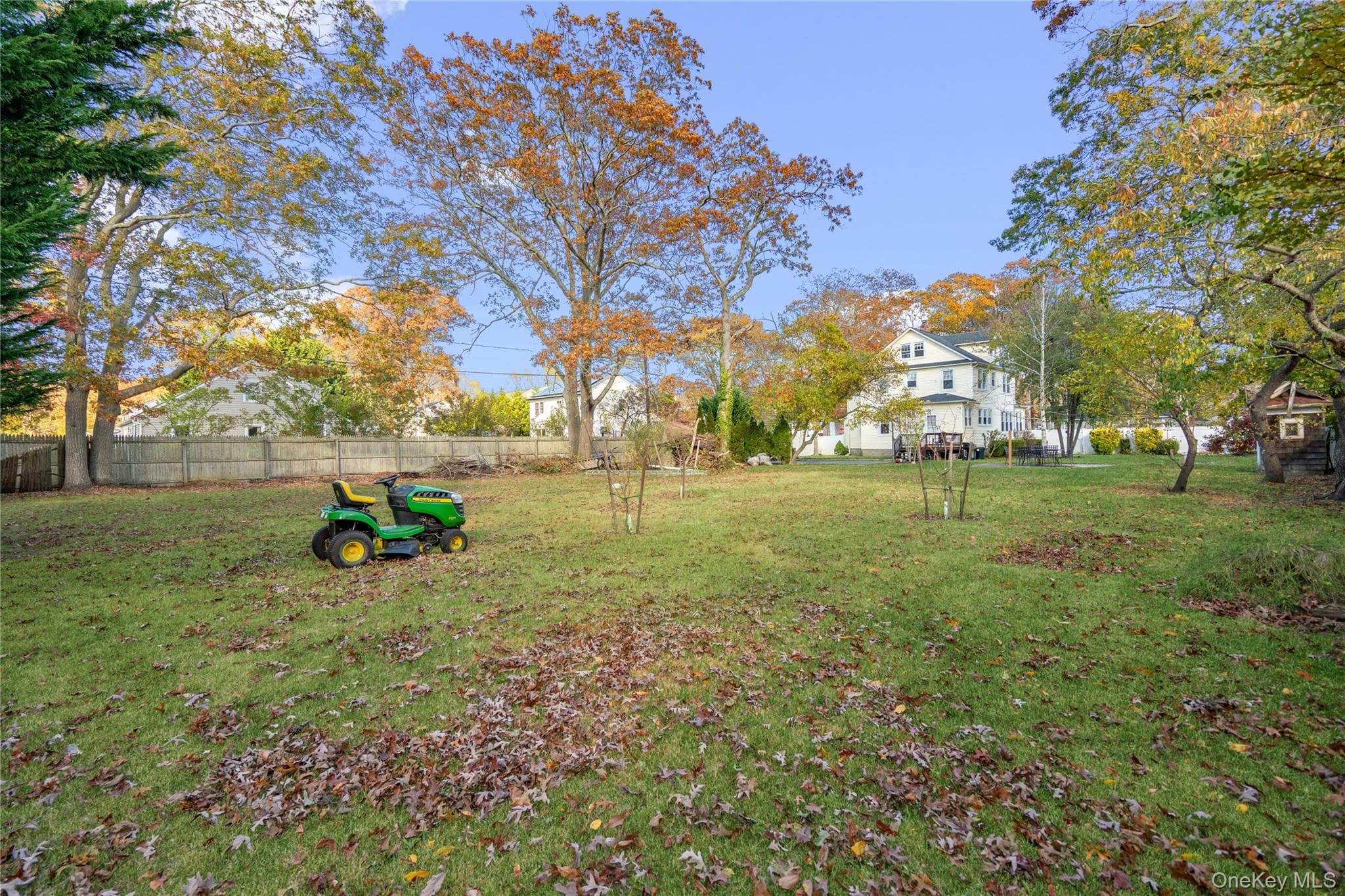 Yard