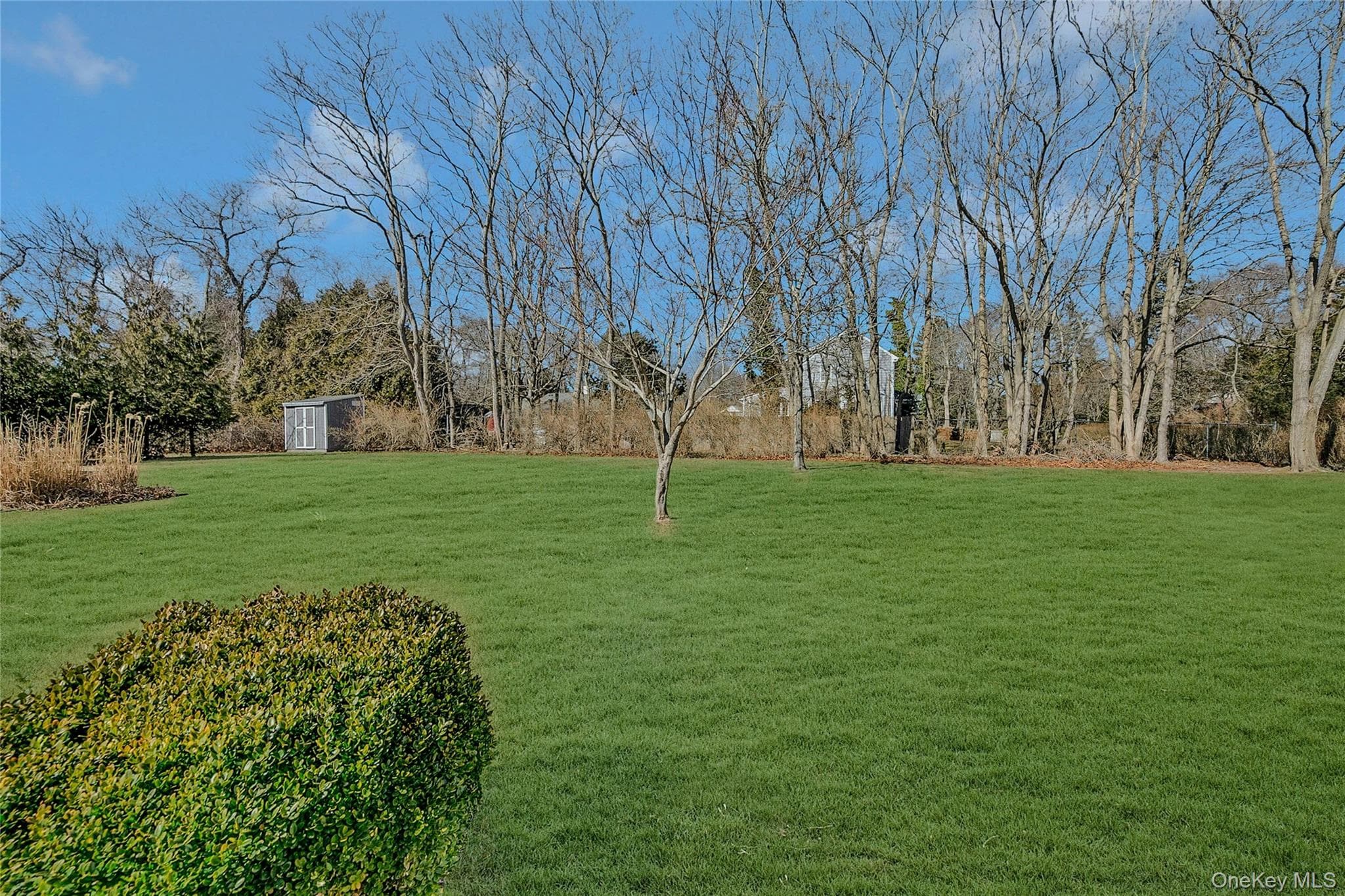 Yard