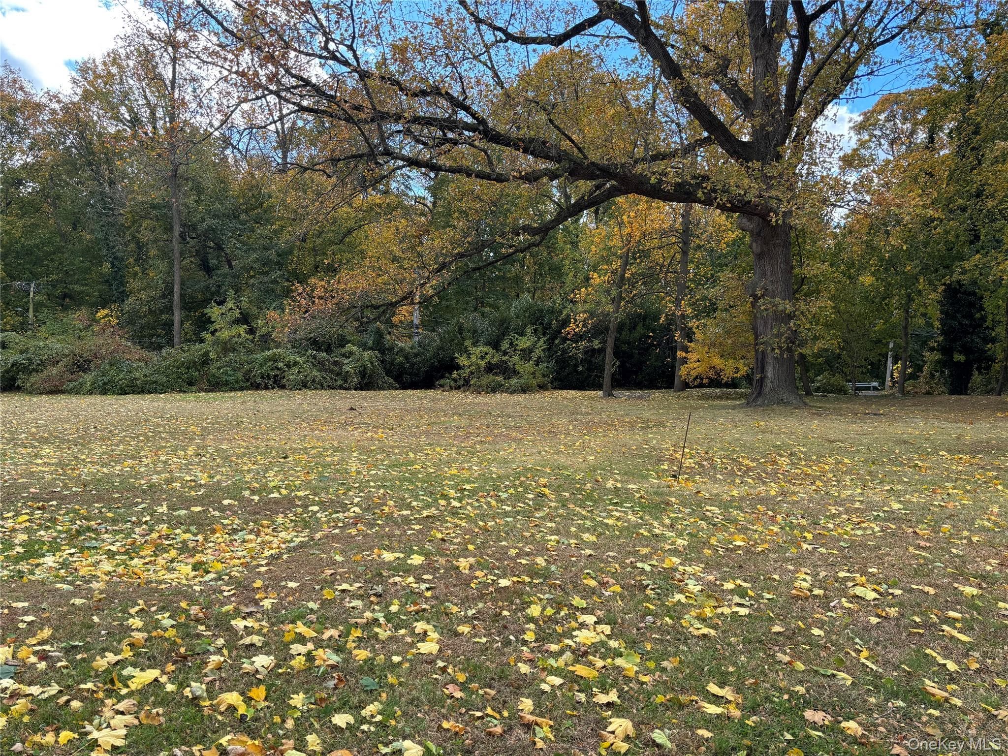 Yard