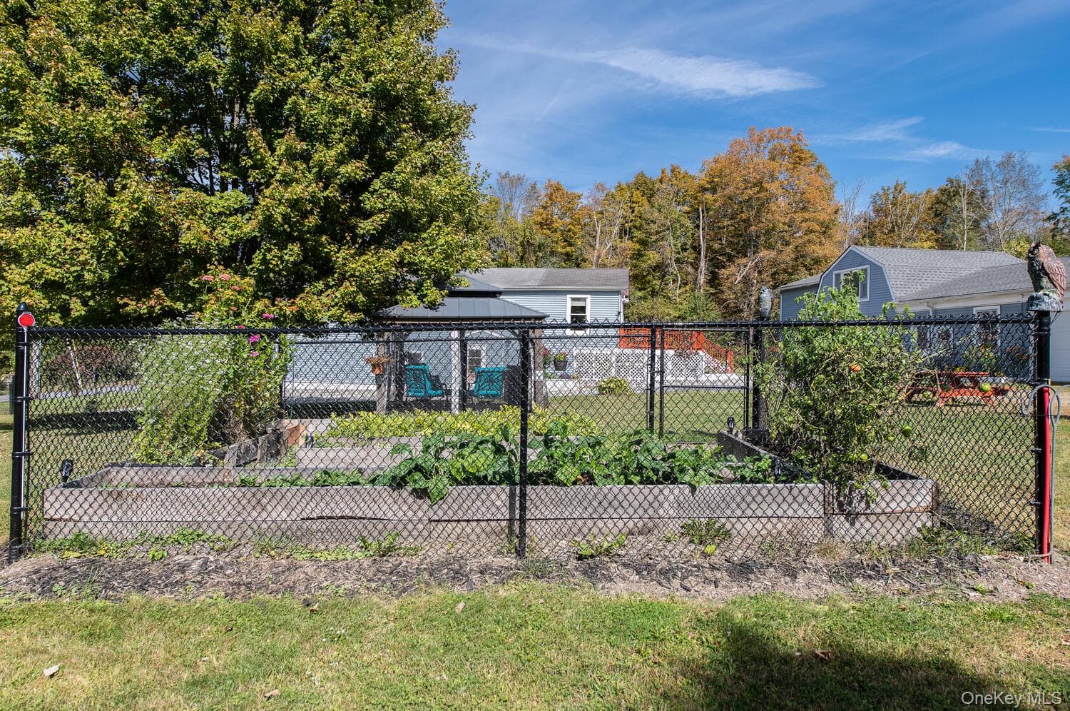 Yard