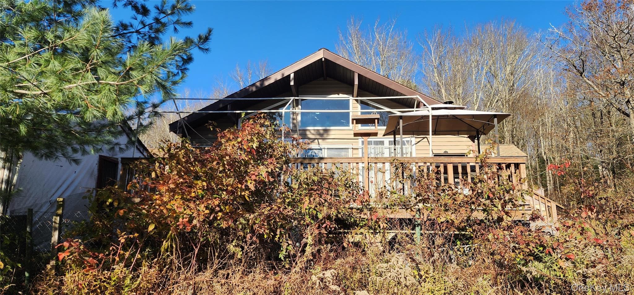 Back of Structure