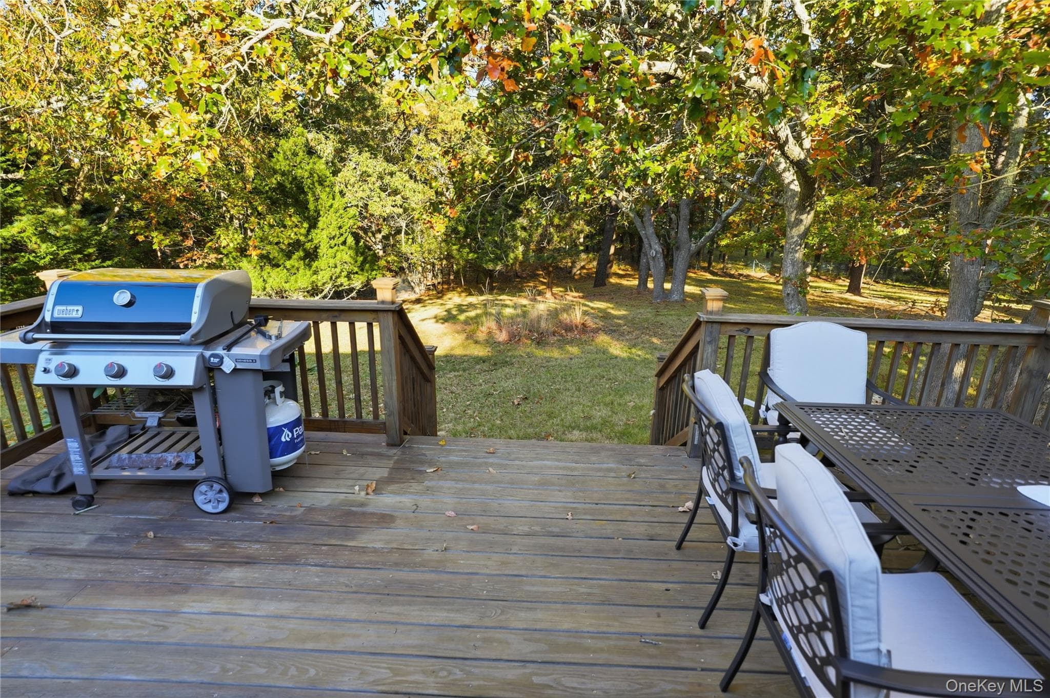 Deck