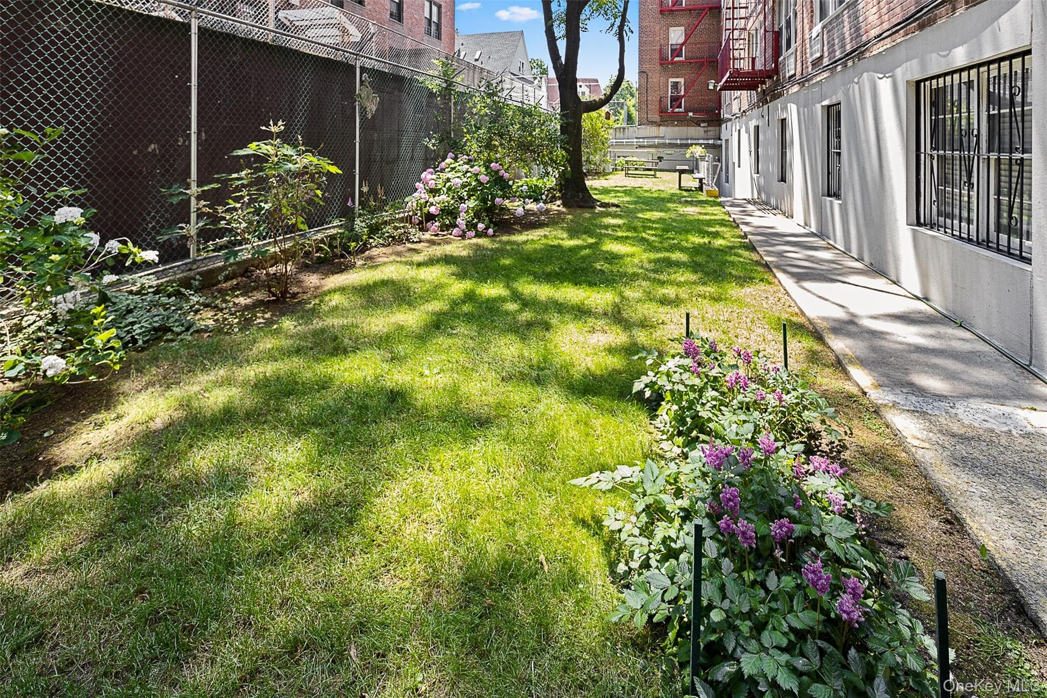 Yard