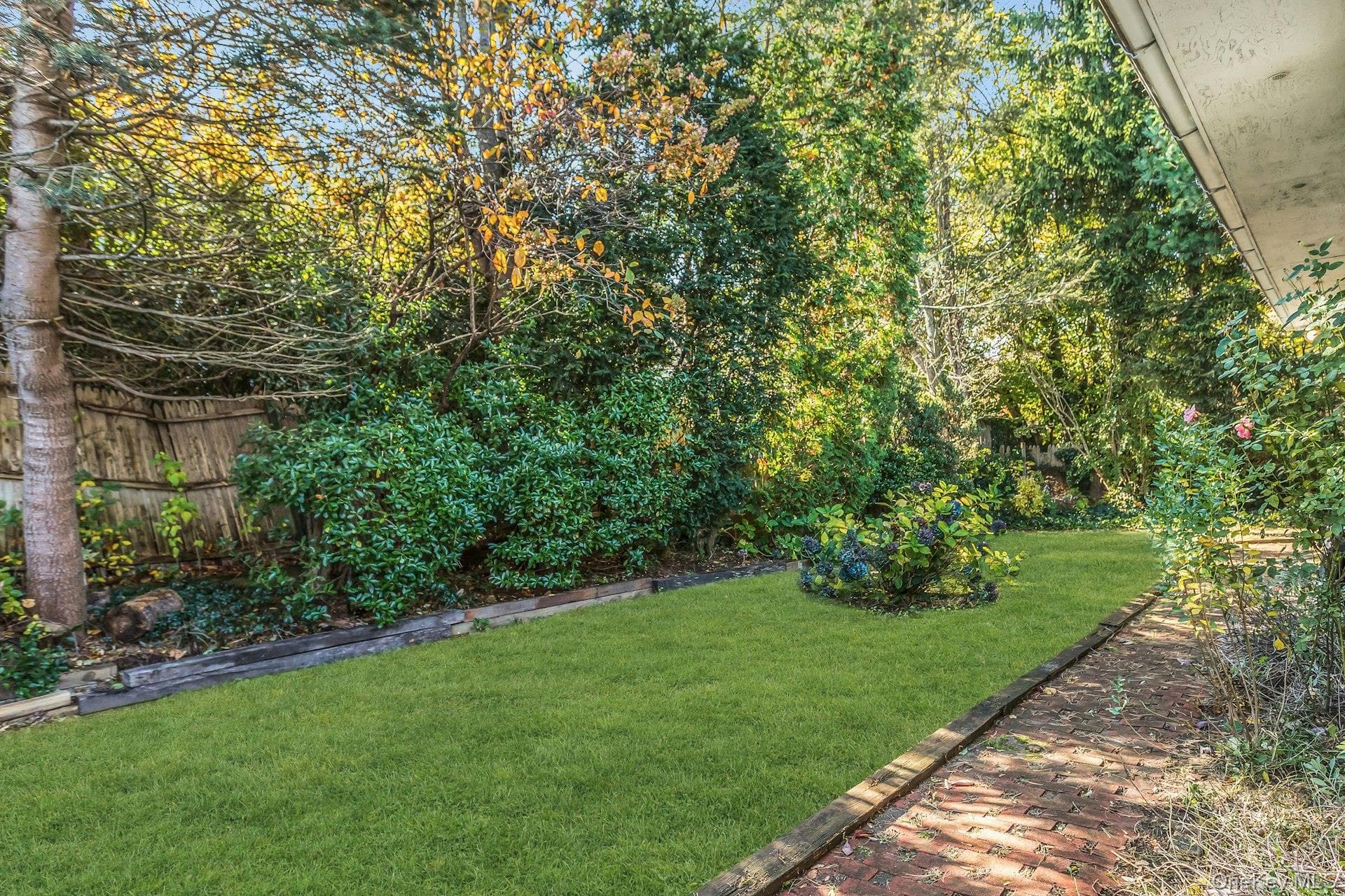 Yard