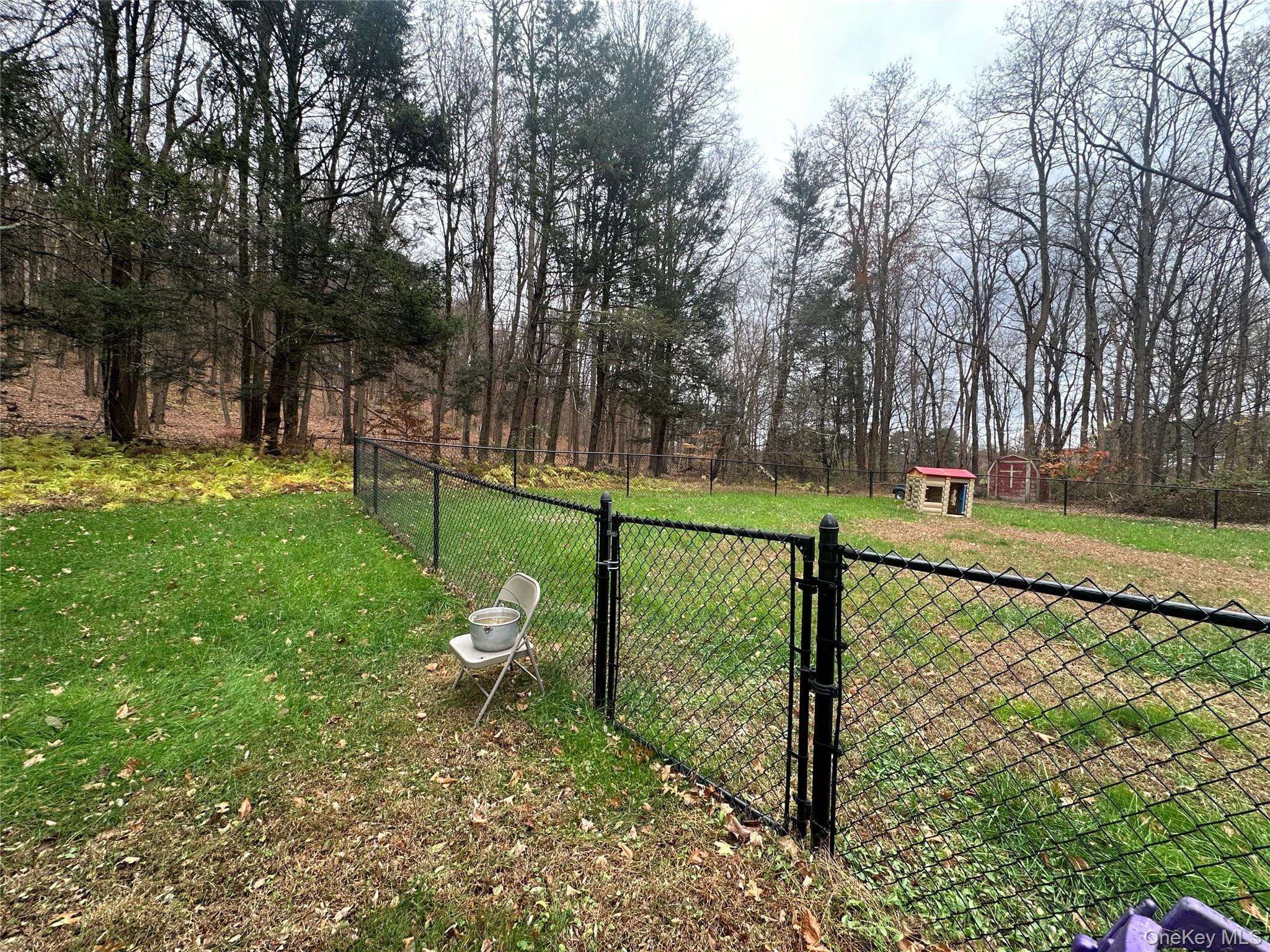 Yard