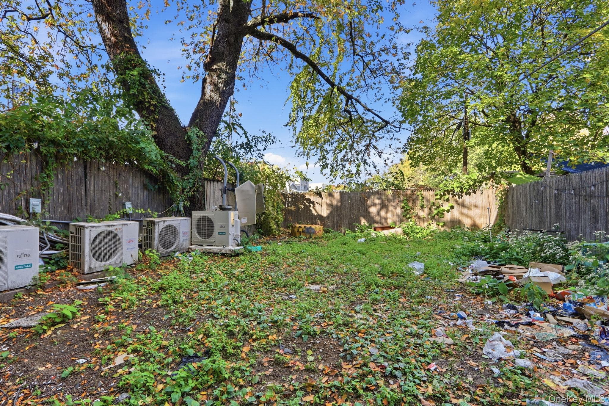 Yard