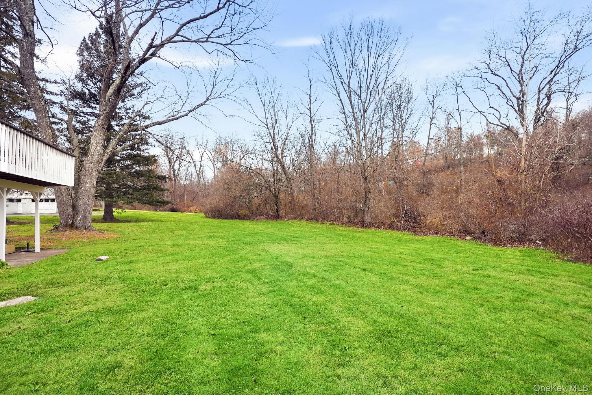 Yard