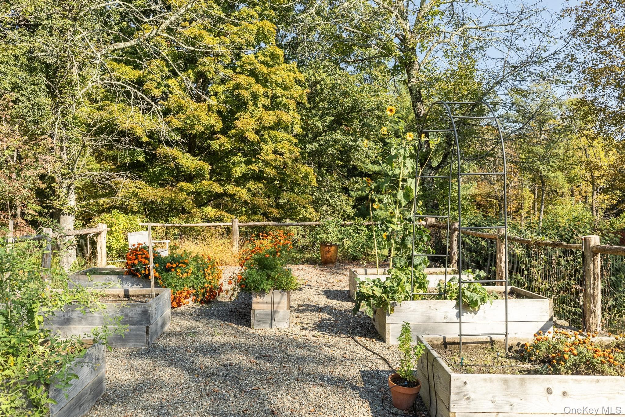 Garden