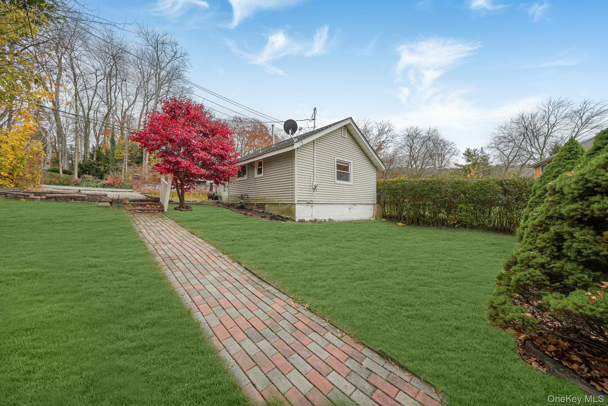 Yard