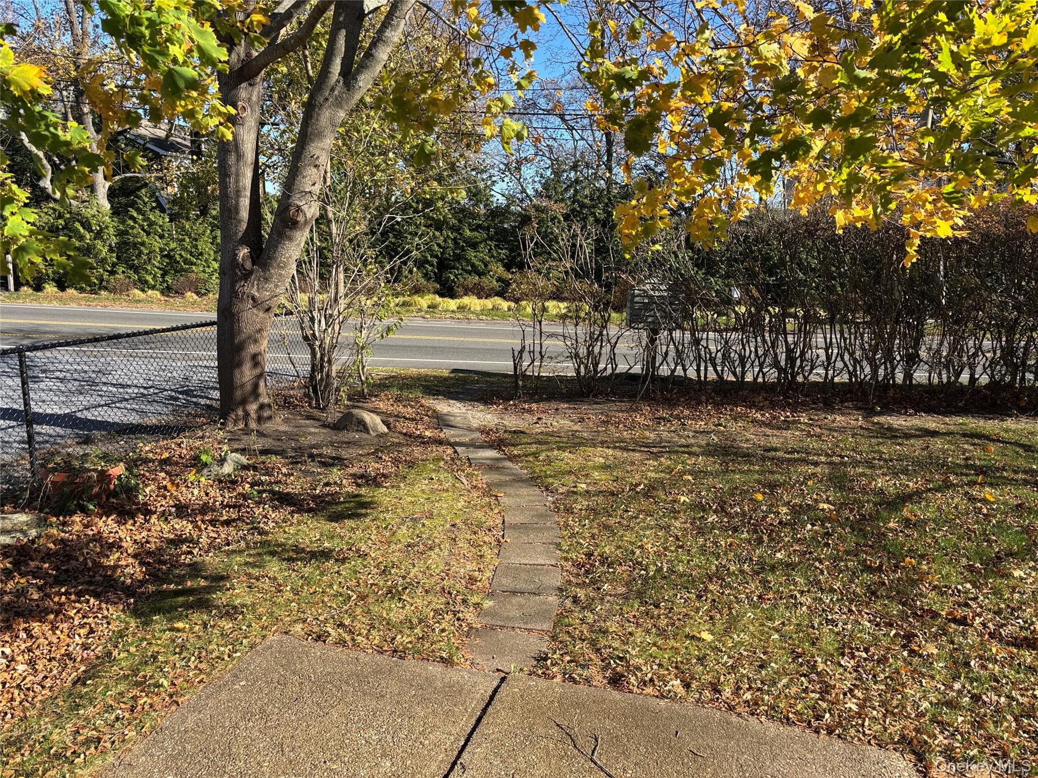 Yard