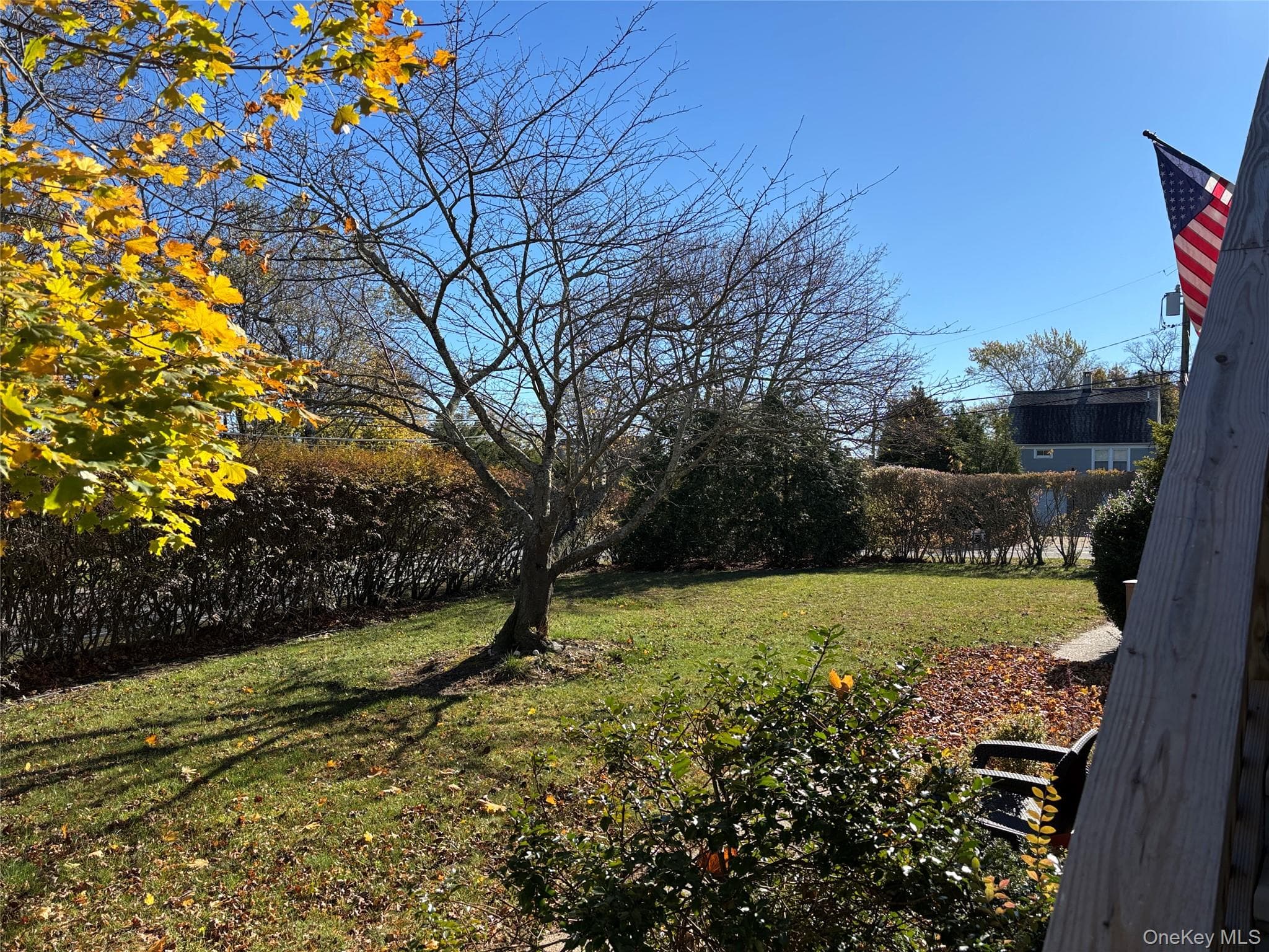 Yard