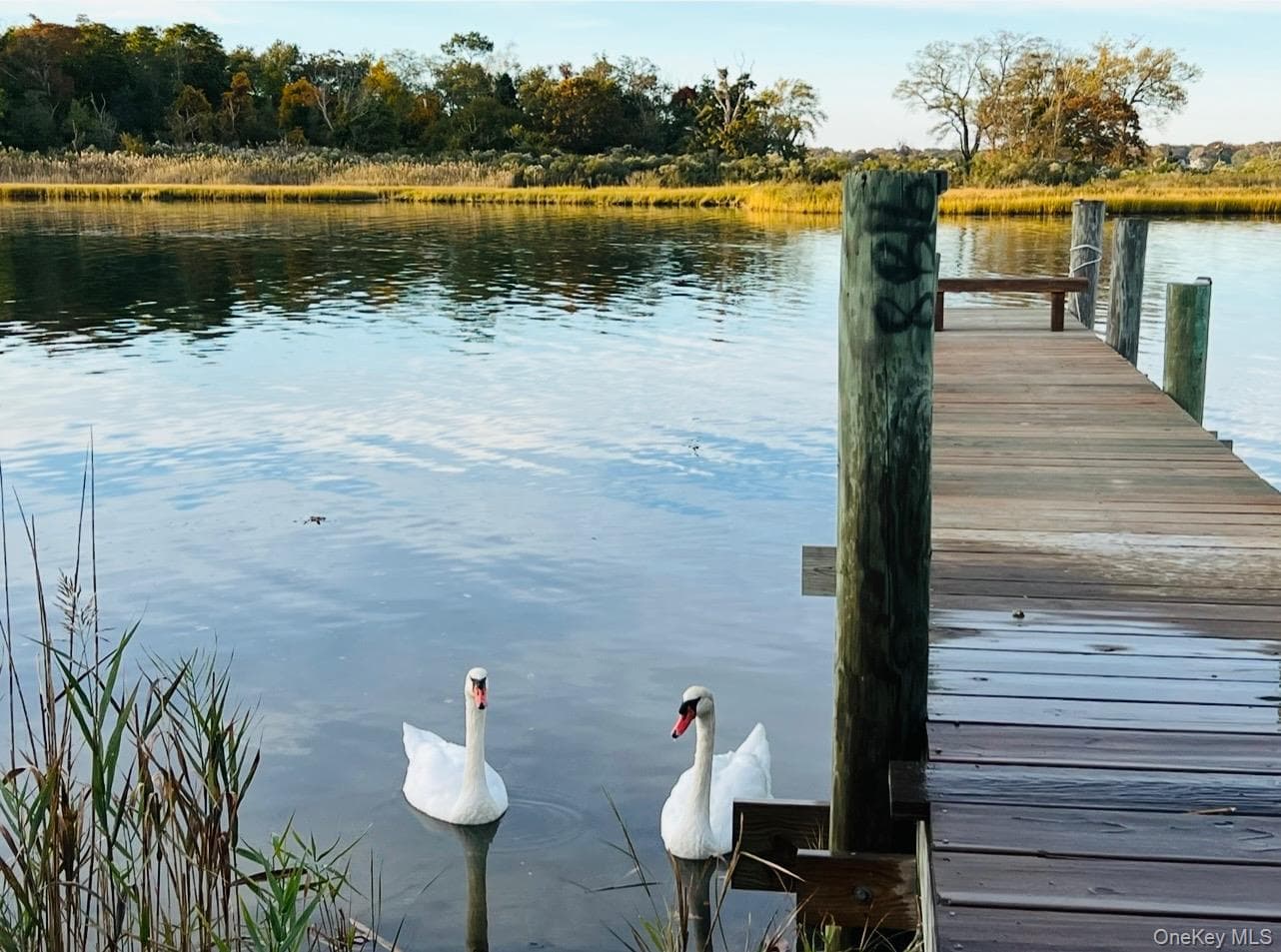 Dock