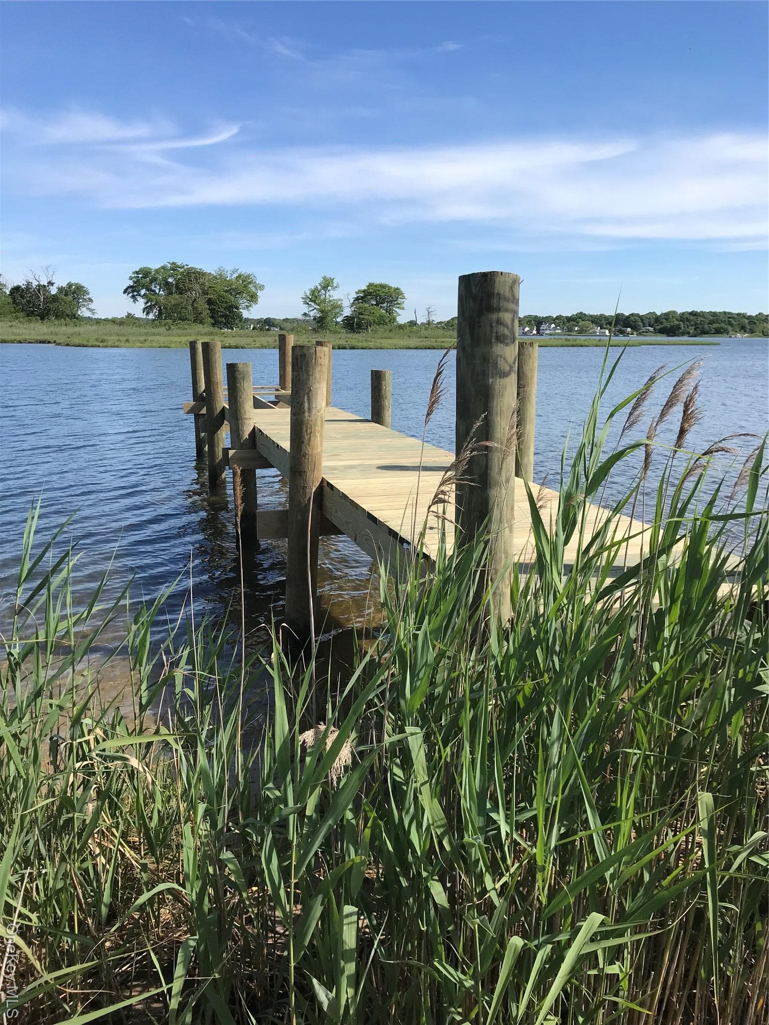 Dock