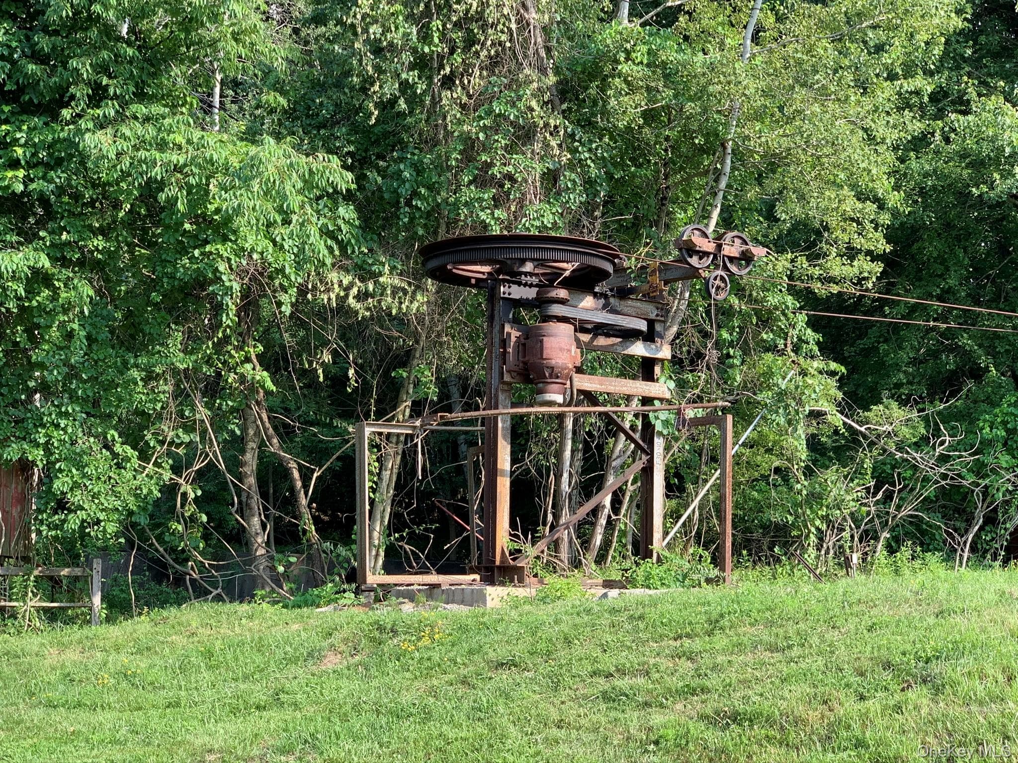 Yard
