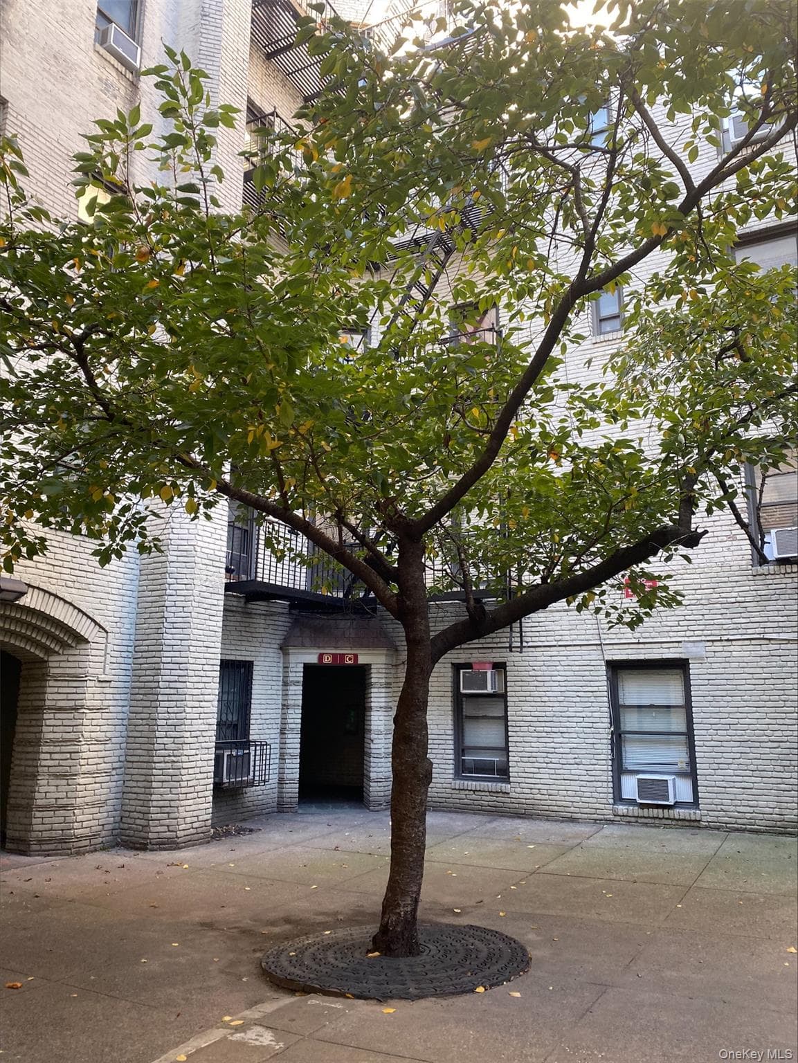Front of Structure