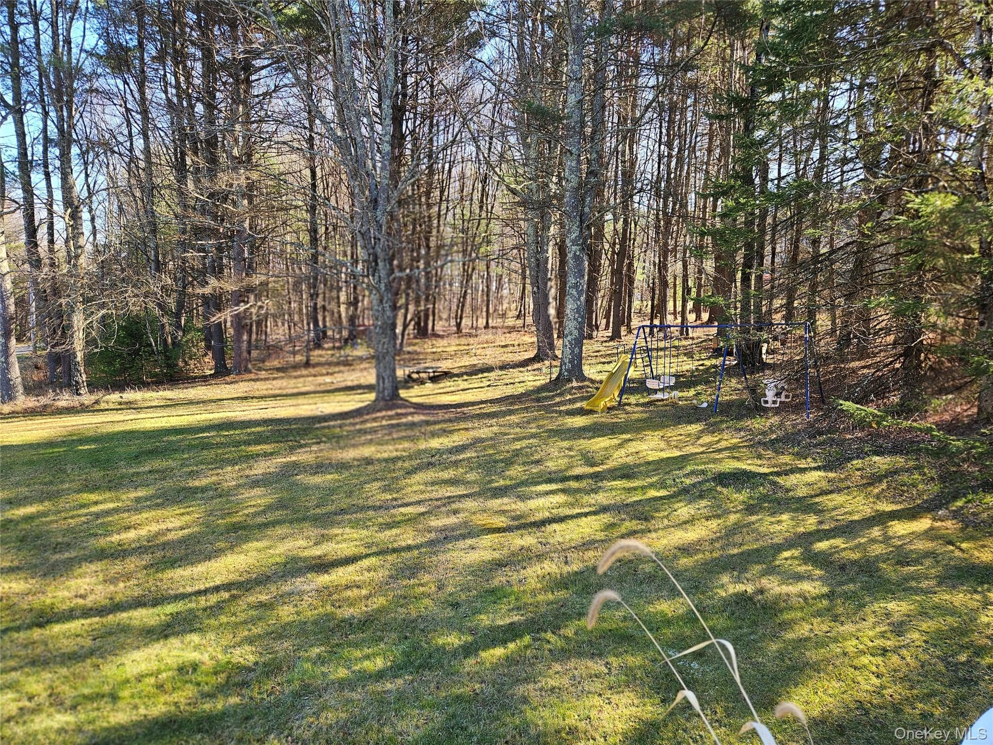 Yard