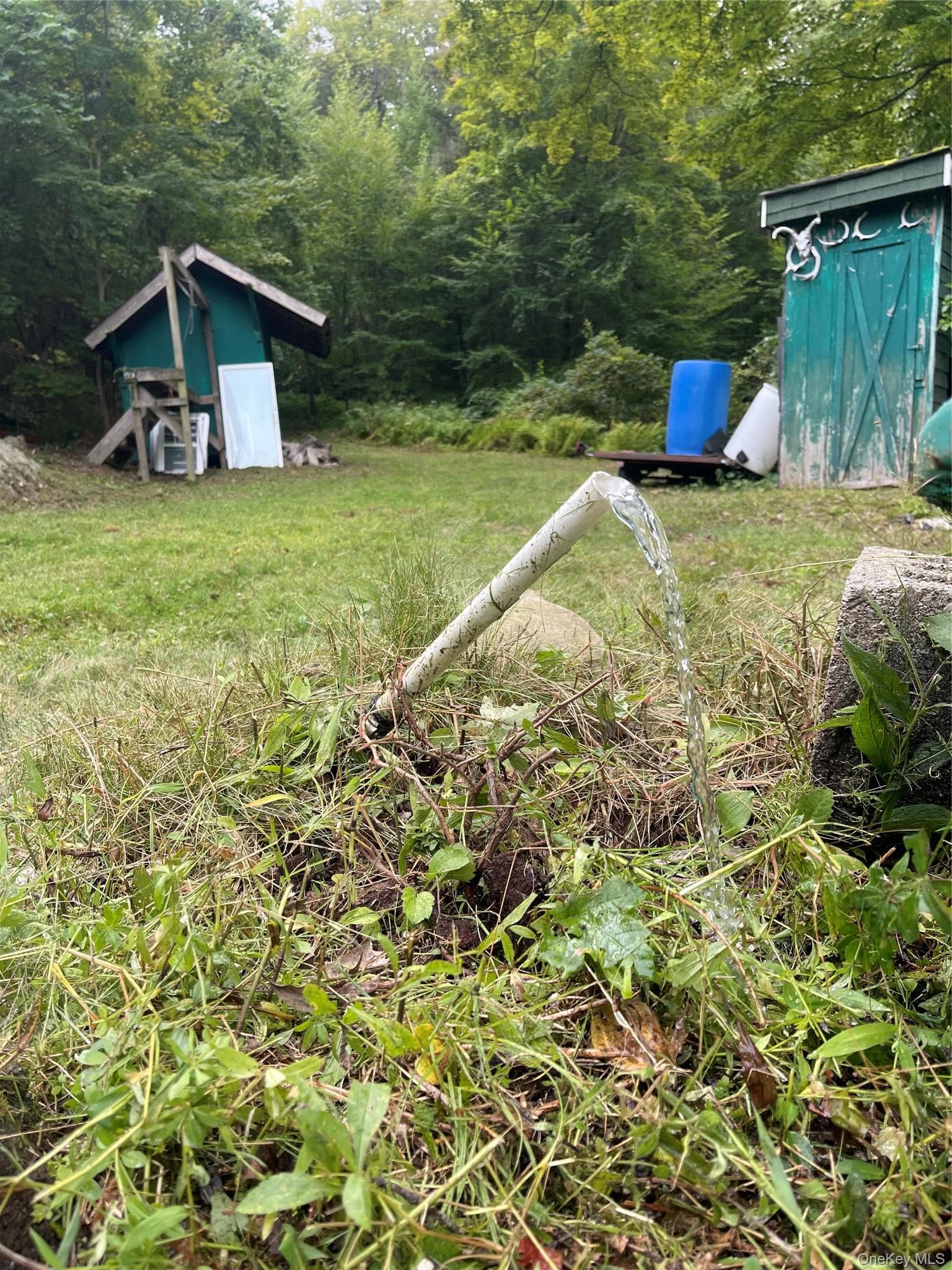Yard
