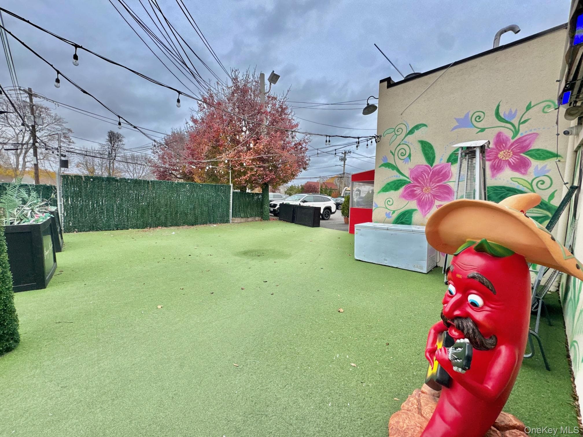 Yard